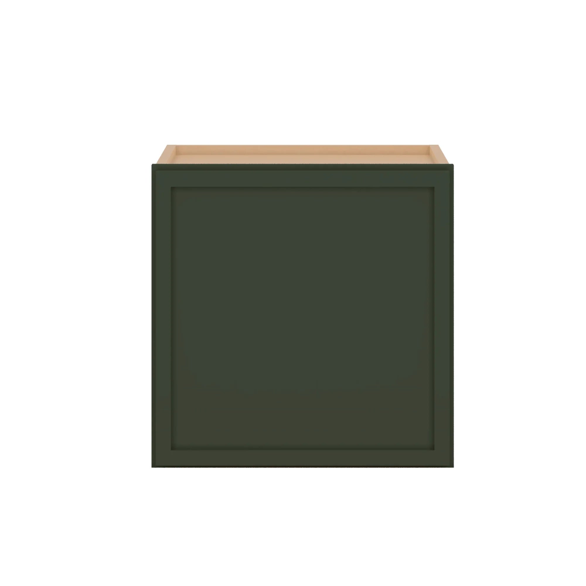 W1515 Close Front Sage Green png