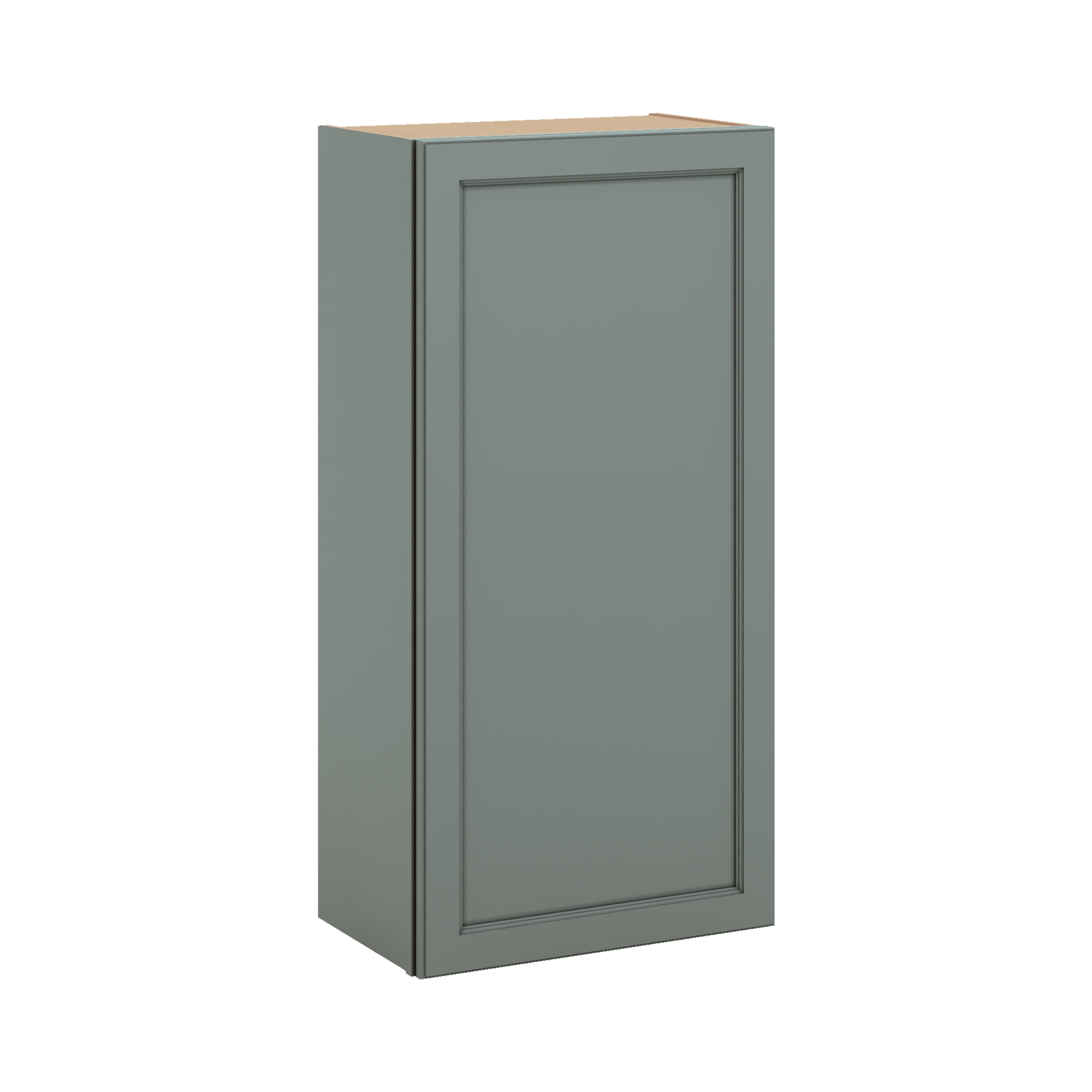 J&K Sage E3 Single Door Wall Cabinet - 21" W x 42" H