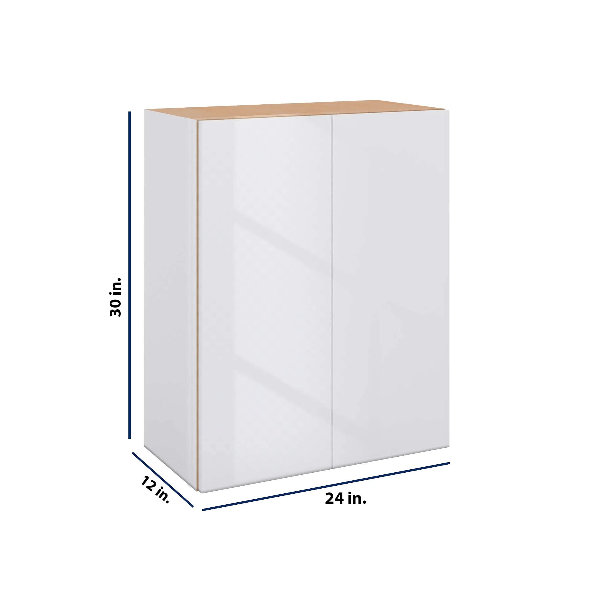 Modernform Cabinet Gloss White 24" W X 30" H X 12" D Double Door Wall Cabinet