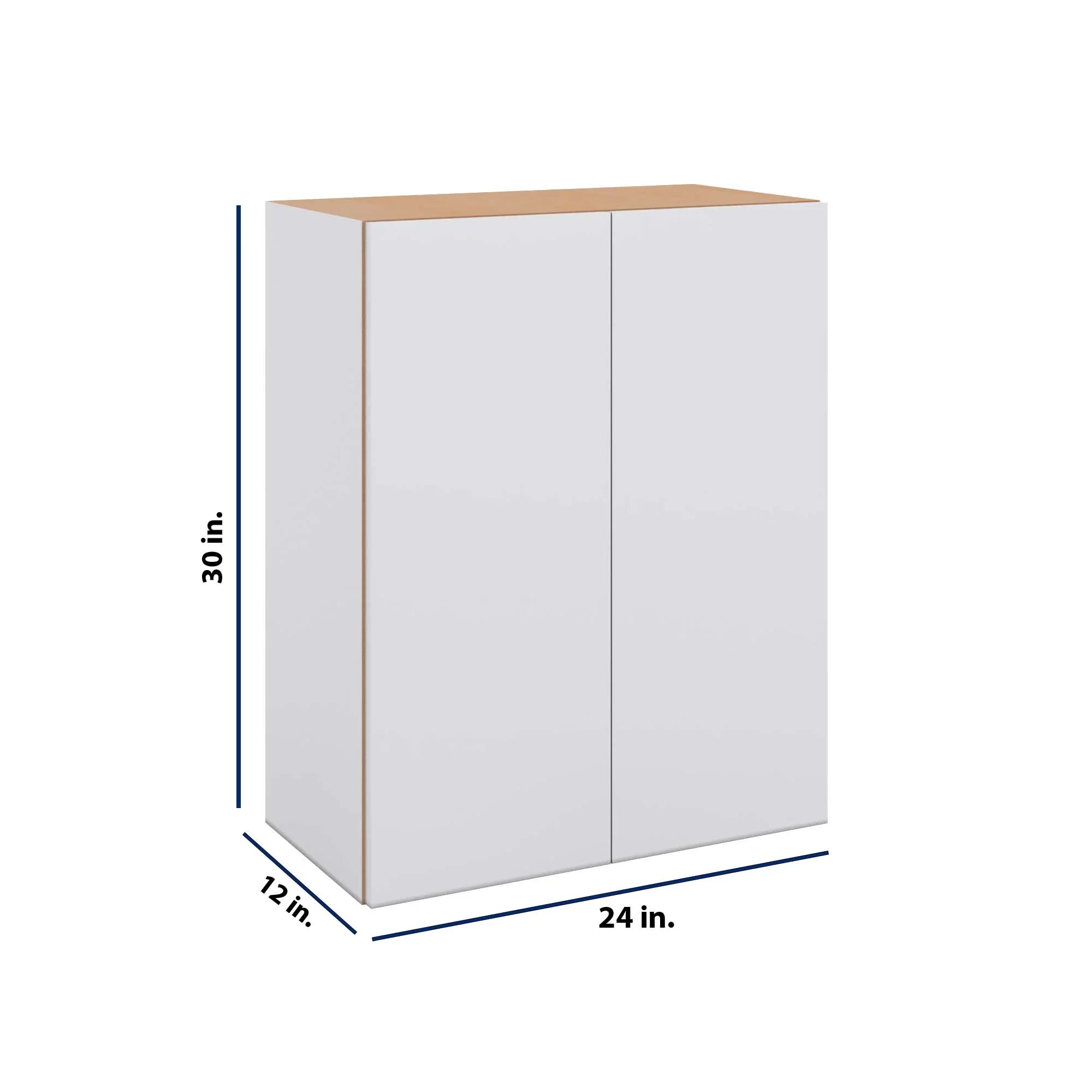 Modernform Cabinet Matte White 24" W X 30" H X 12" D Double Door Wall Cabinet