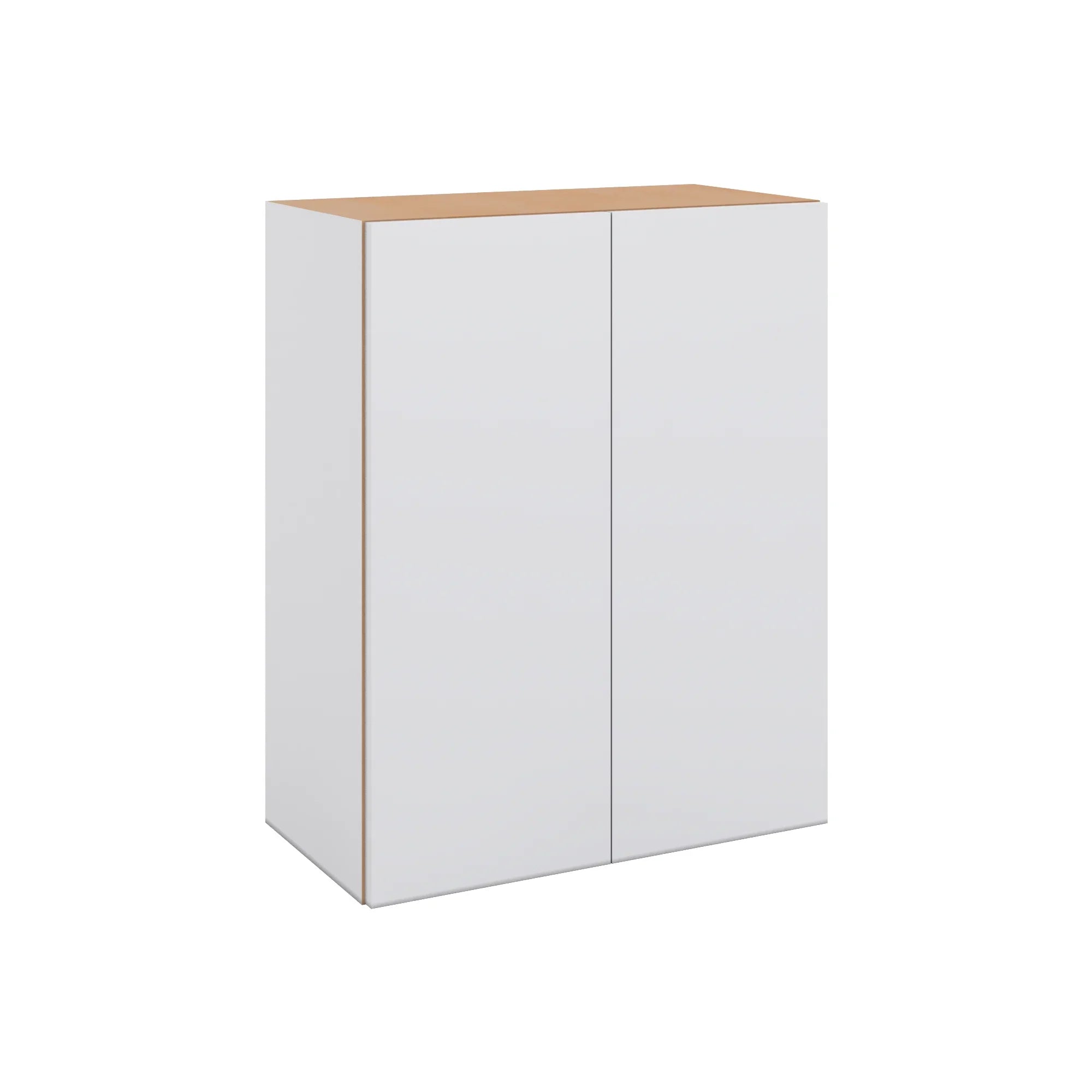 Modernform Cabinet Matte White 24" W X 30" H X 12" D Double Door Wall Cabinet