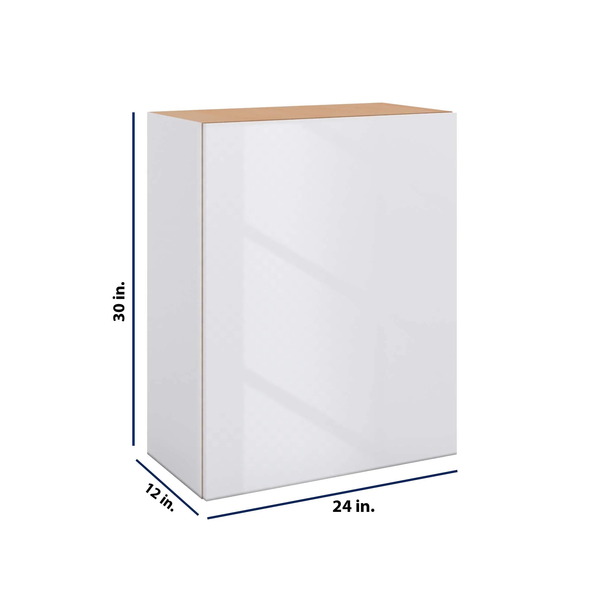 Modernform Cabinet Gloss White 24" W X 30" H X 12" D Single Door Wall Cabinet