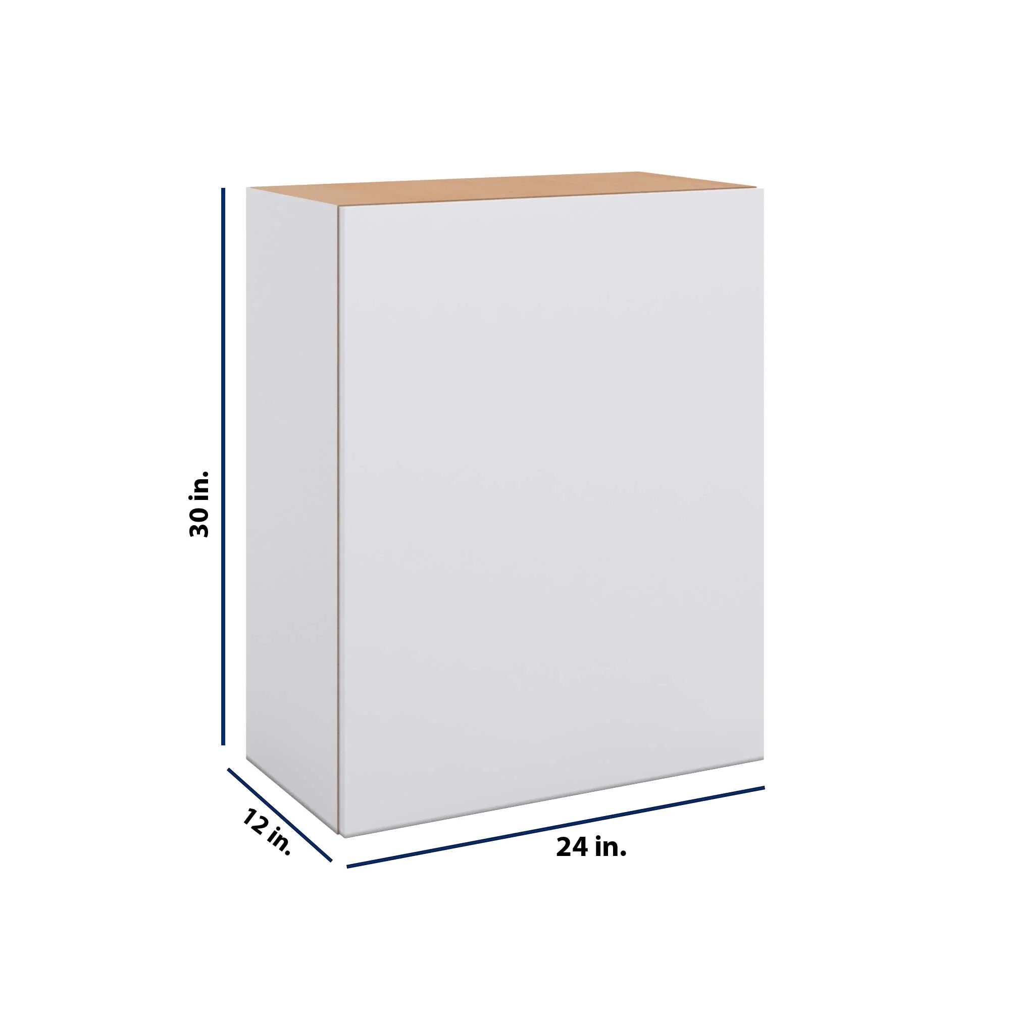 Modernform Cabinet Matte White 24" W X 30" H X 12" D Single Door Wall Cabinet