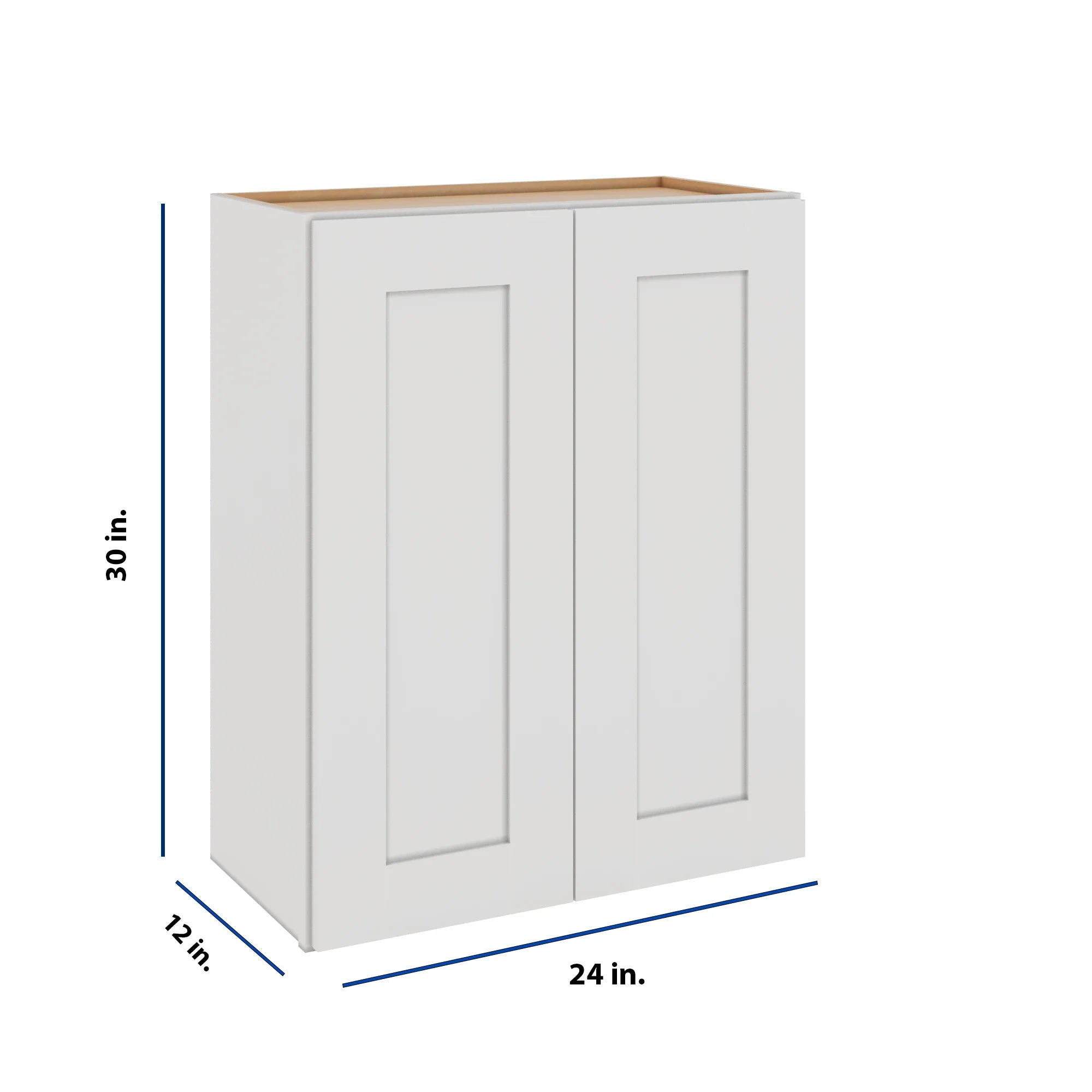 Modernform Cabinet White Shaker 24" W X 30" H X 12" D Double Door Wall Cabinet