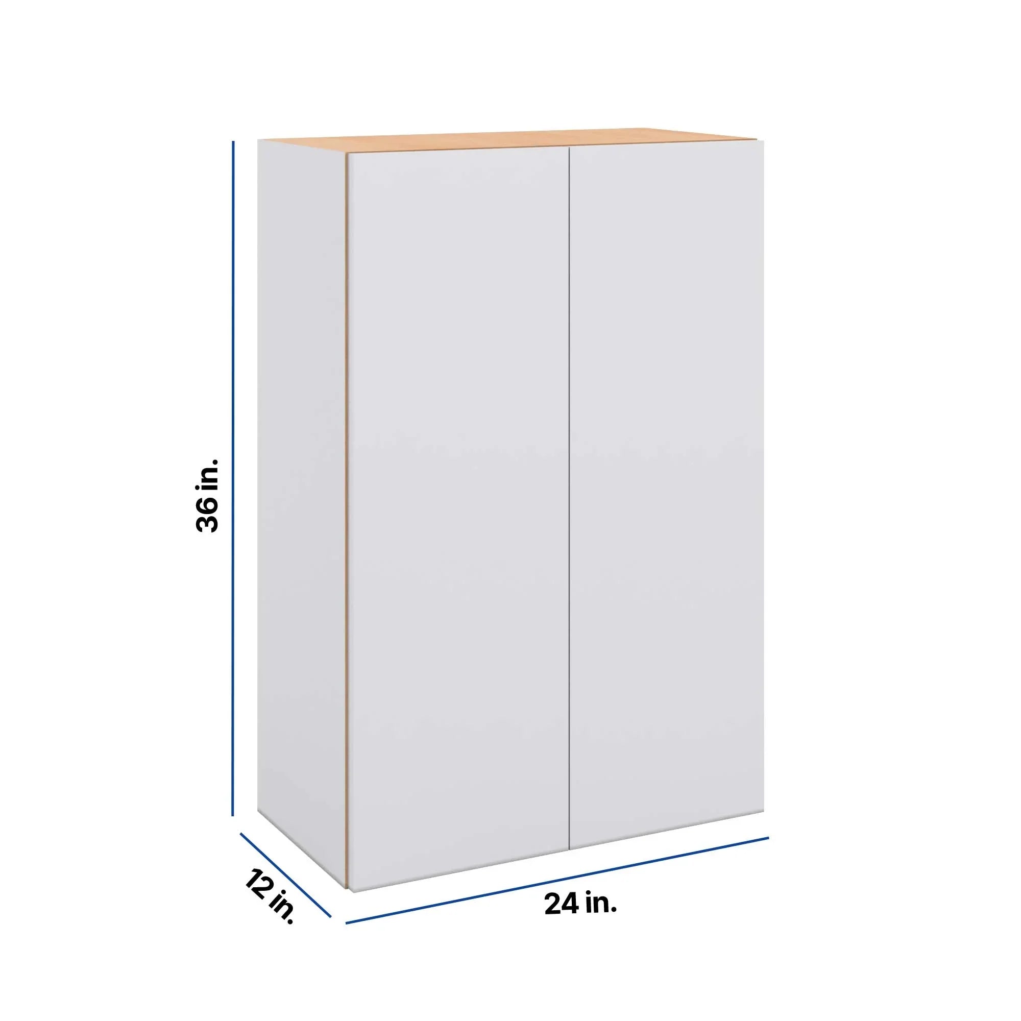 Modernform Cabinet Matte White 24" W X 36" H X 12" D Double Door Wall Cabinet