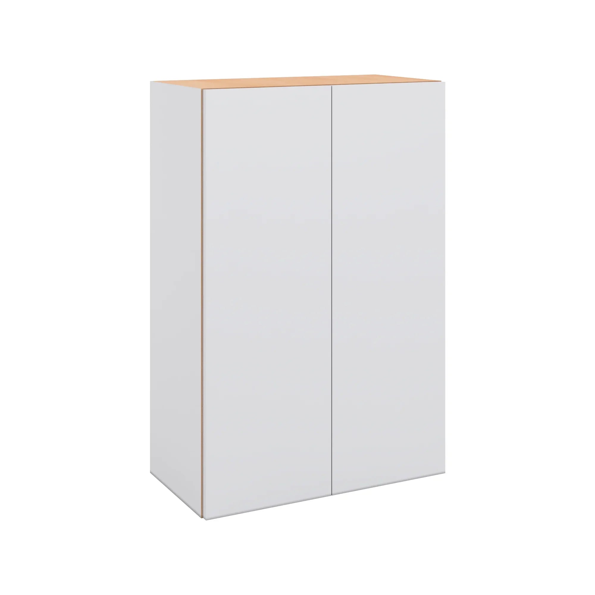 Modernform Cabinet Matte White 24" W X 36" H X 12" D Double Door Wall Cabinet