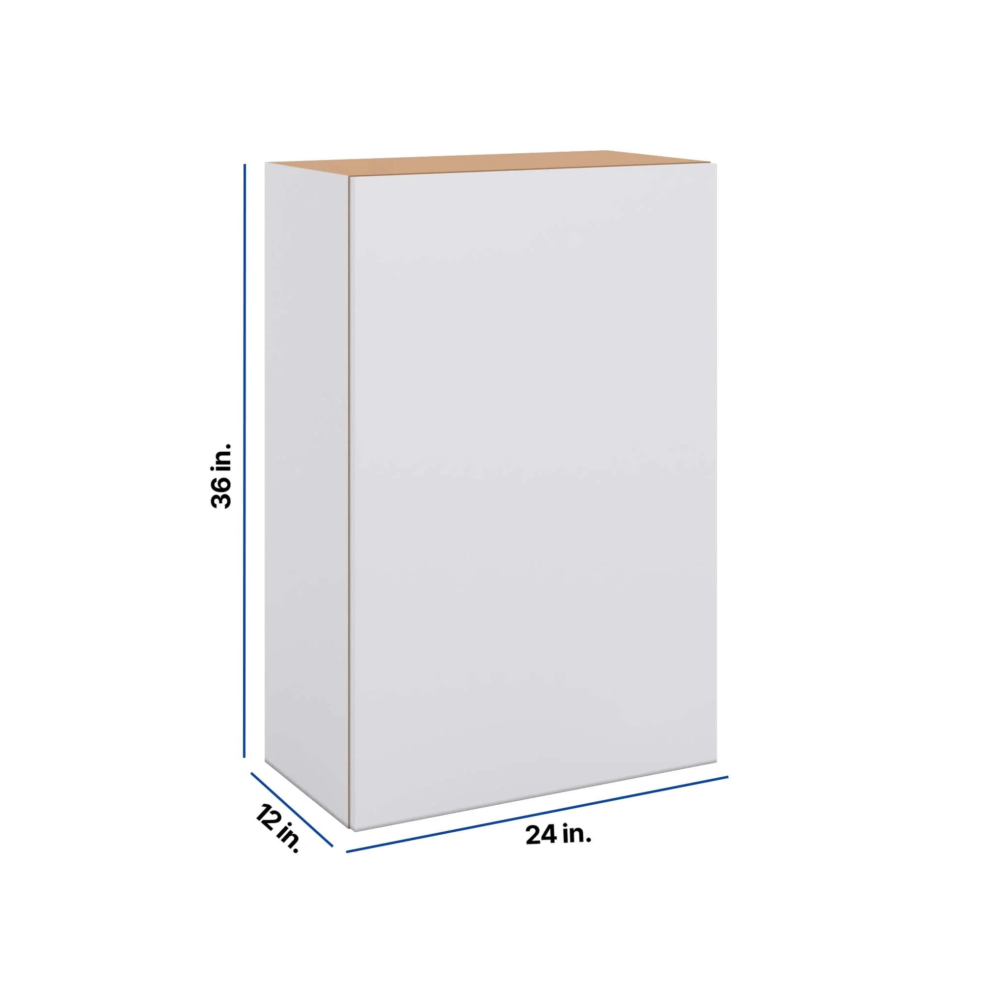 Modernform Cabinet Matte White 24" W X 36" H X 12" D Single Door Wall Cabinet