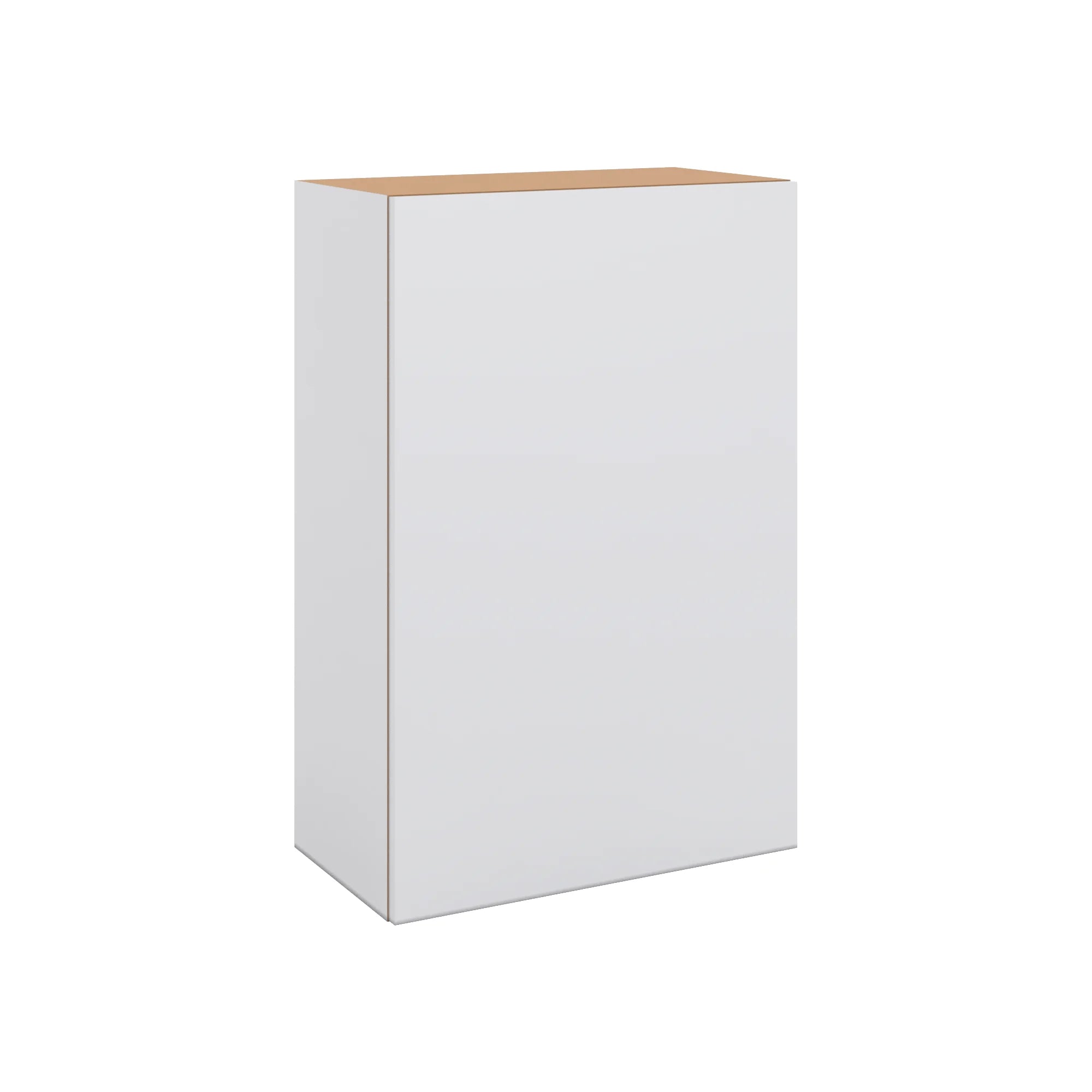 Modernform Cabinet Matte White 24" W X 36" H X 12" D Single Door Wall Cabinet