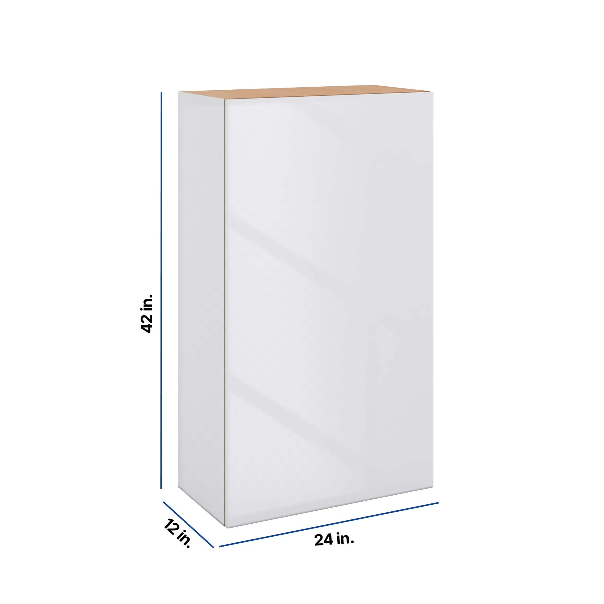 Modernform Cabinet Gloss White 24" W X 42" H X 12" D Single Door Wall Cabinet