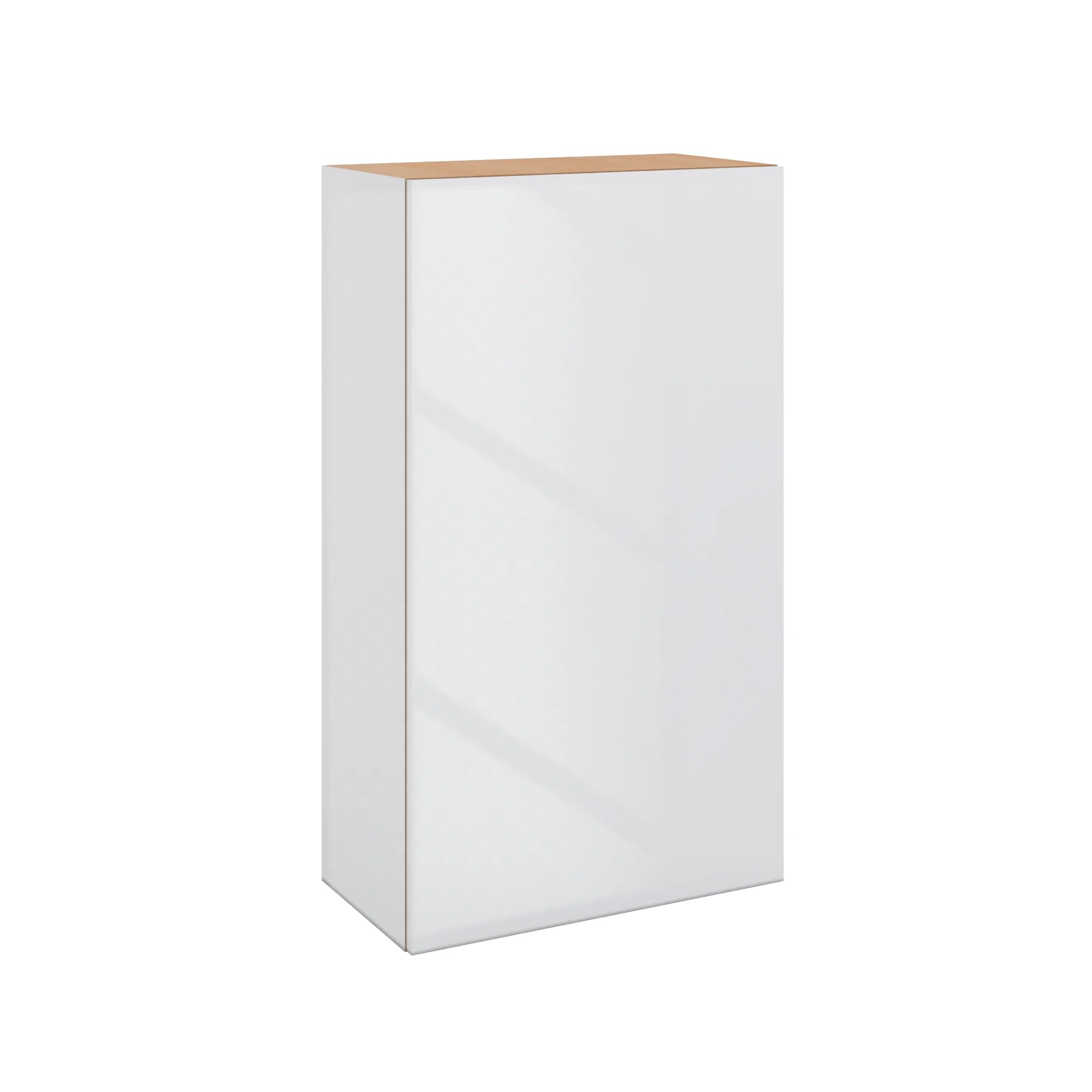 Modernform Cabinet Gloss White 24" W X 42" H X 12" D Single Door Wall Cabinet