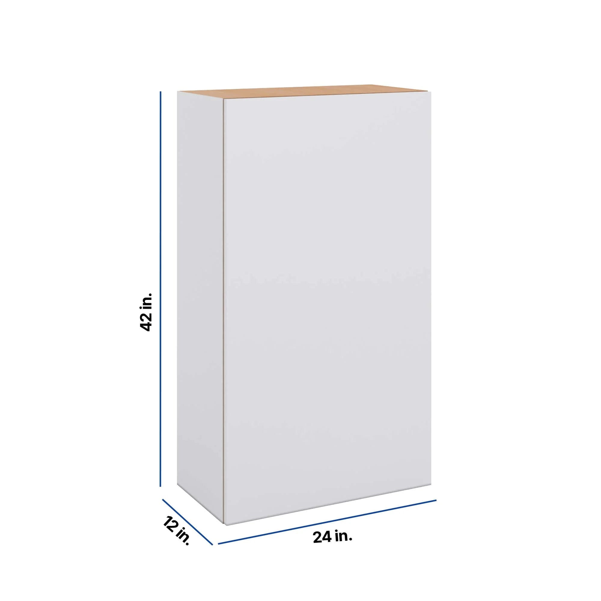 Modernform Cabinet Matte White 24" W X 42" H X 12" D Single Door Wall Cabinet