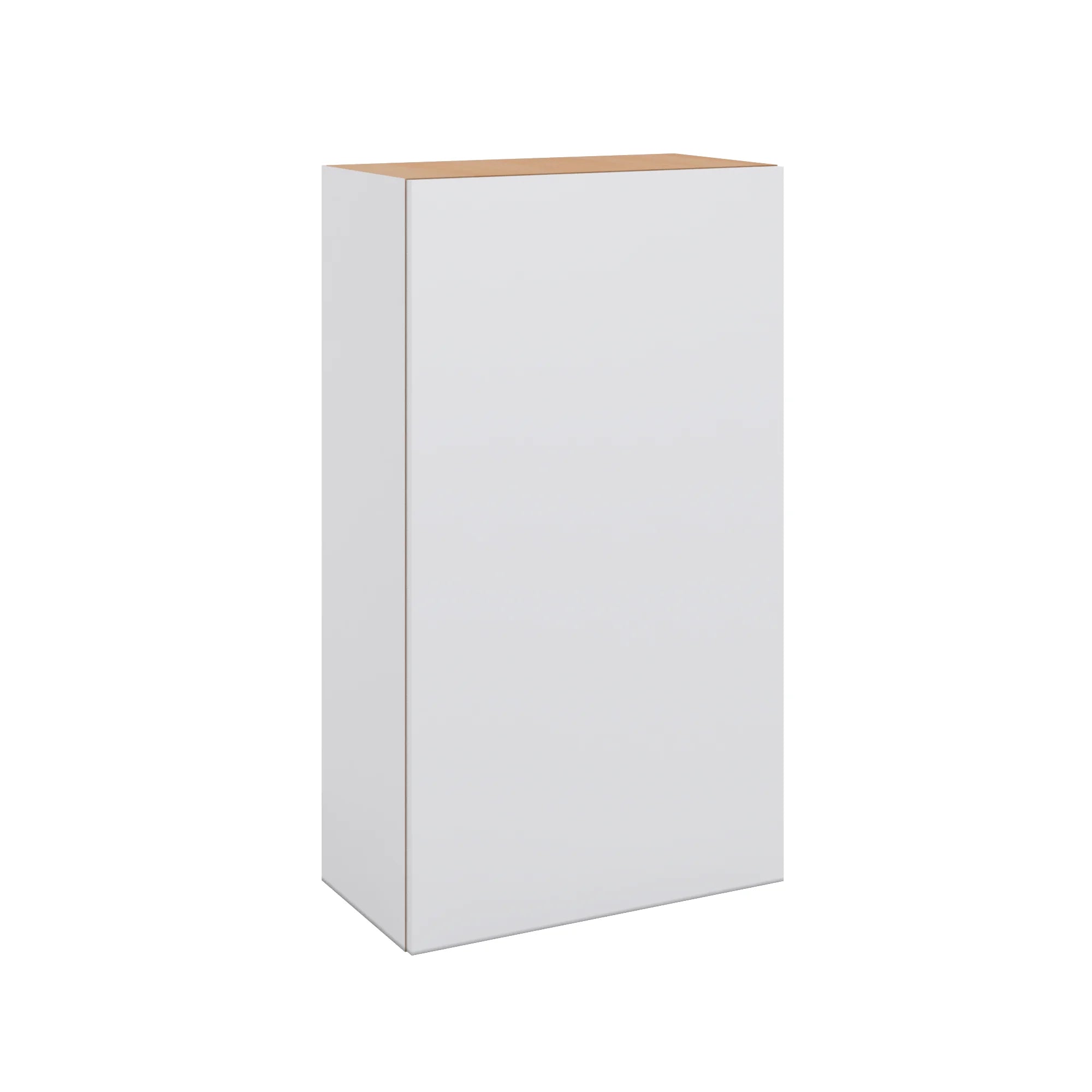 Modernform Cabinet Matte White 24" W X 42" H X 12" D Single Door Wall Cabinet