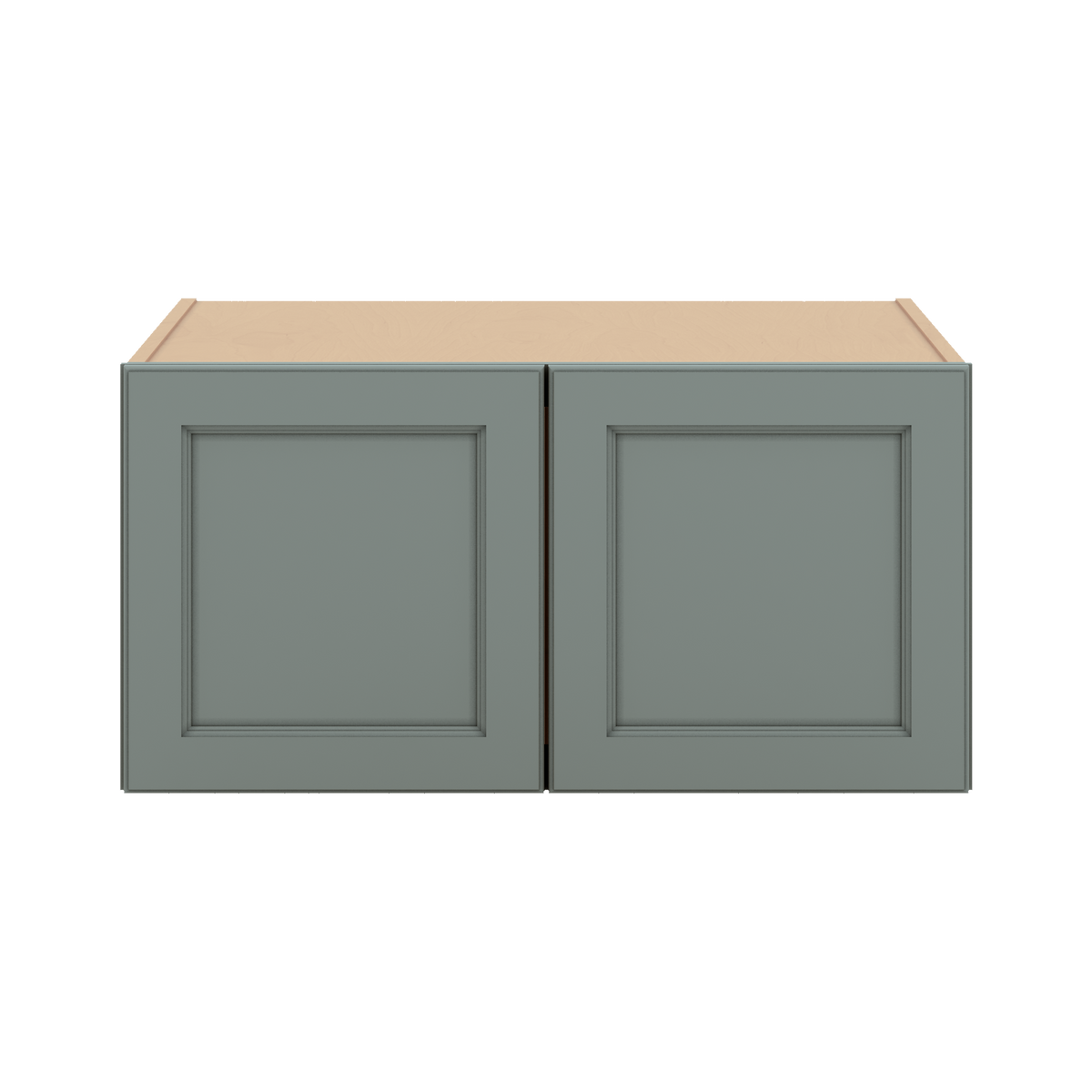 W301527 Close Front Sage