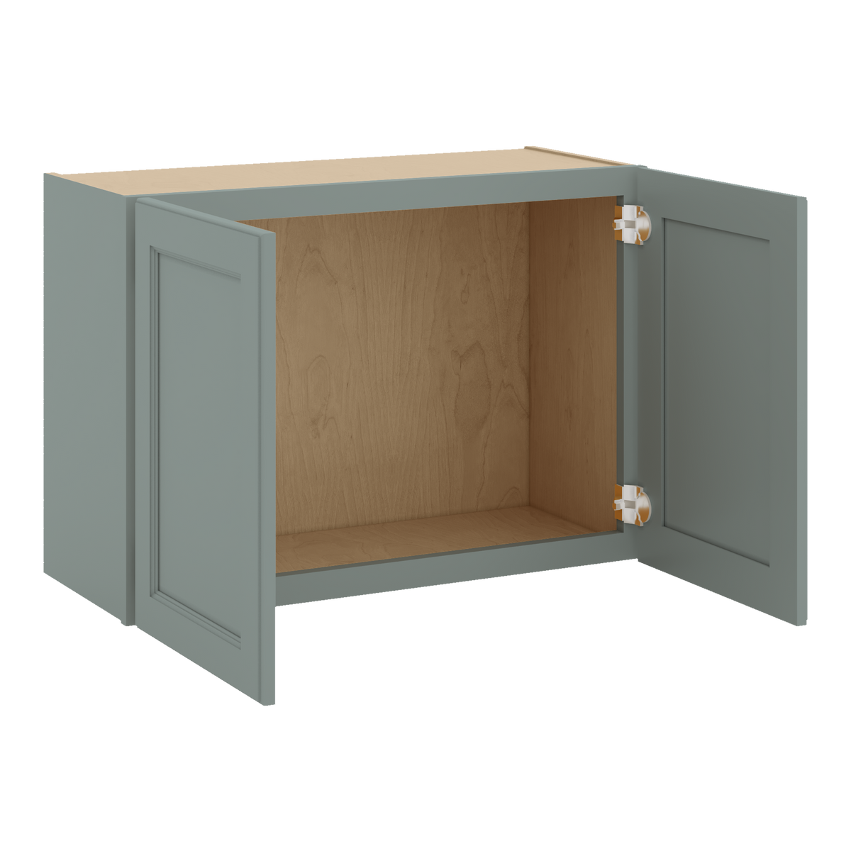 W3021 Open Angle Sage