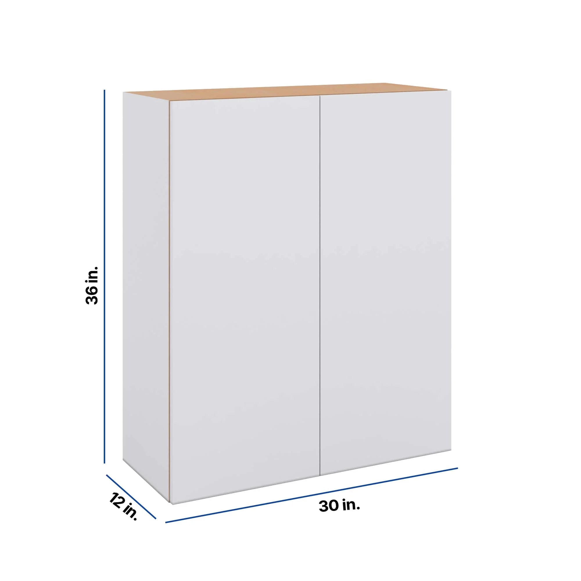 Modernform Cabinet Matte White 30" W X 36" H X 12" D Double Door Wall Cabinet