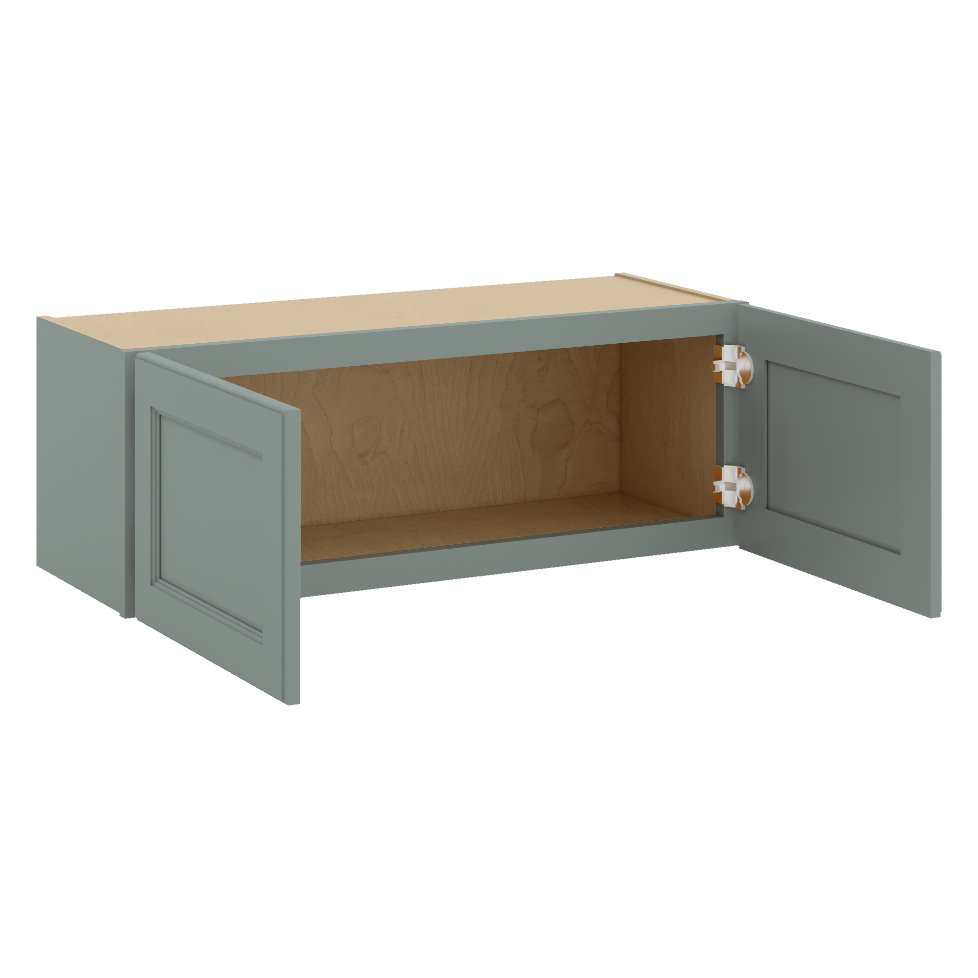 W3312 Open Angle Sage