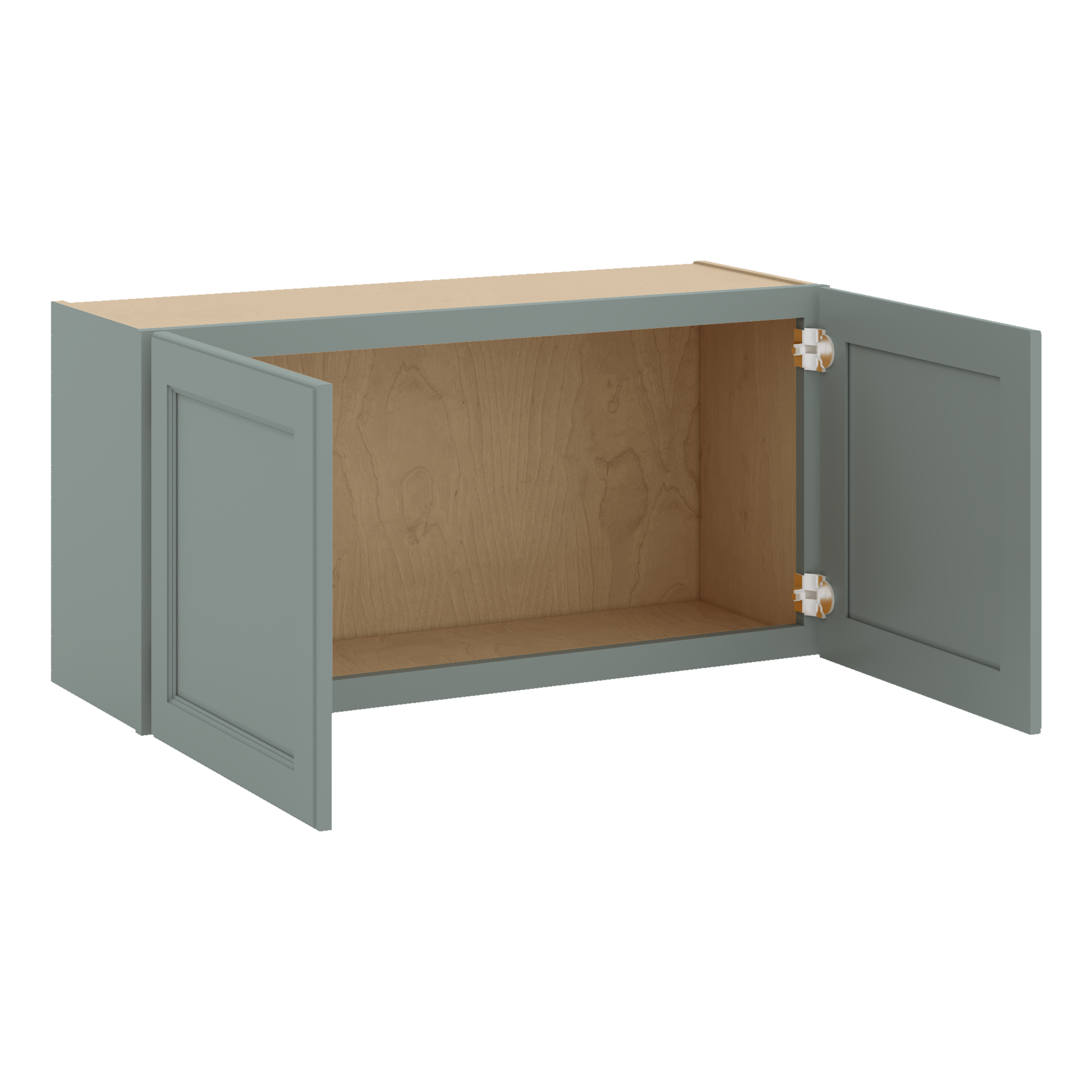 W3618 Open Angle Sage