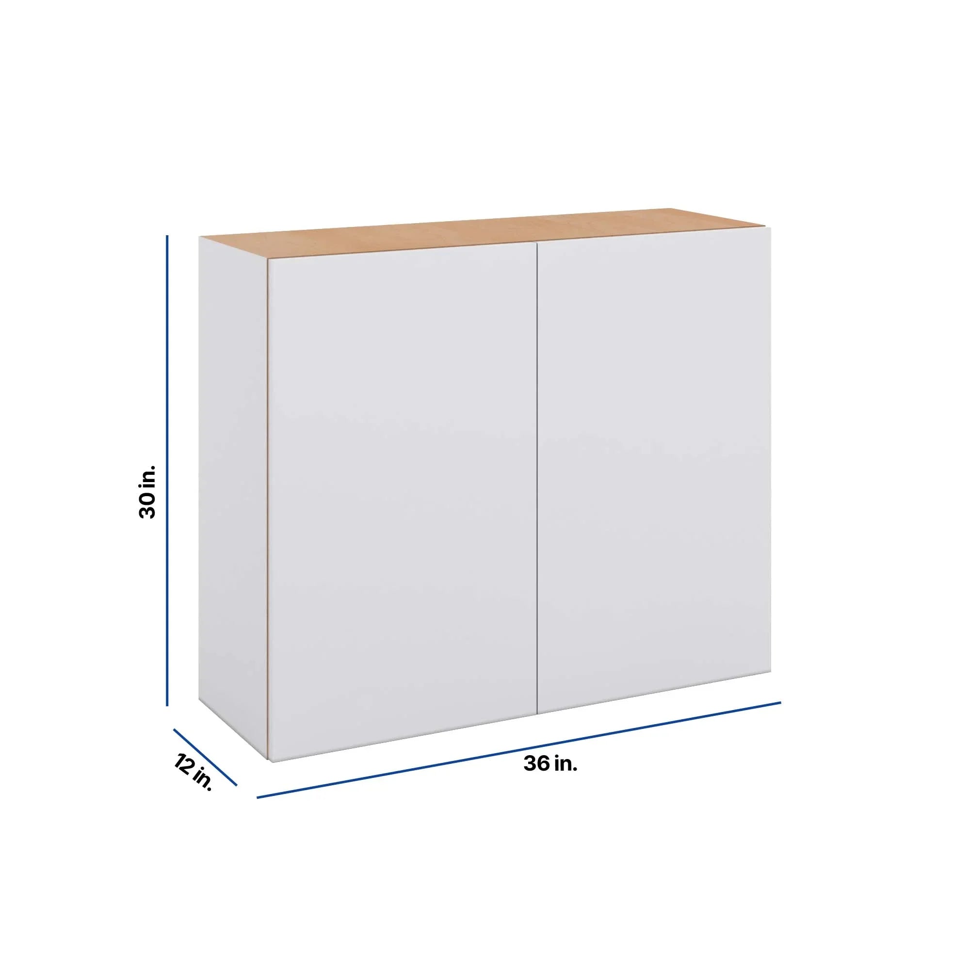 Modernform Cabinet Matte White 36" W X 30" H X 12" D Double Door Wall Cabinet