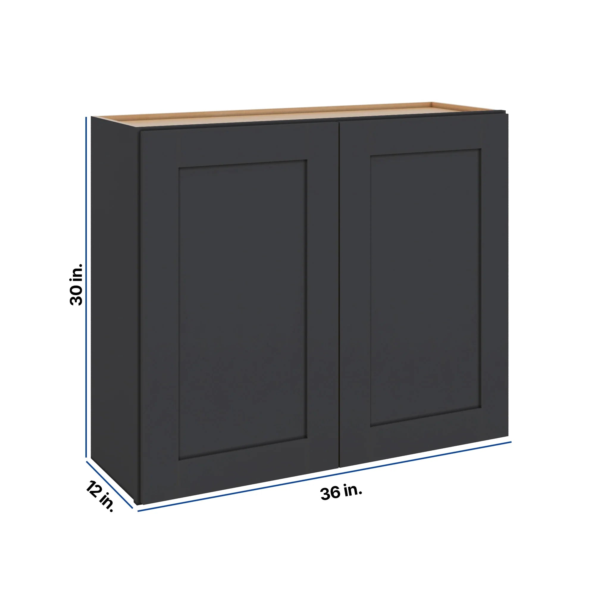 Modernform Cabinet Onyx Black Shaker 36" W X 30" H X 12" D Double Door Wall Cabinet