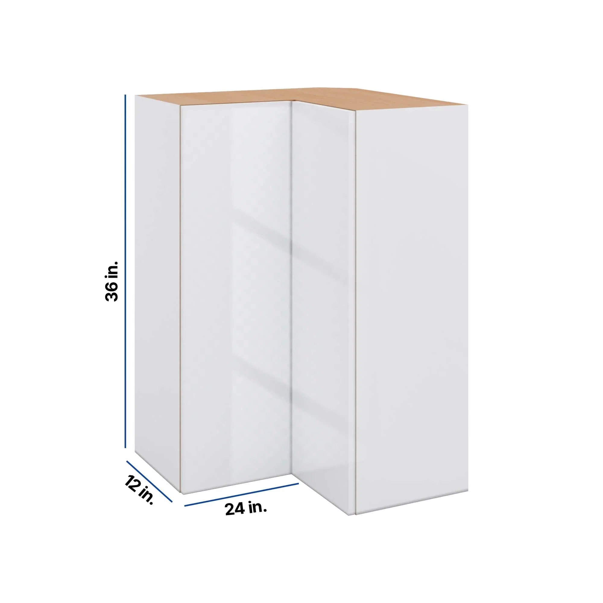 Modernform Cabinet Gloss White 24" W X 36" H X 12" D Wall Easy Reach Cabinet