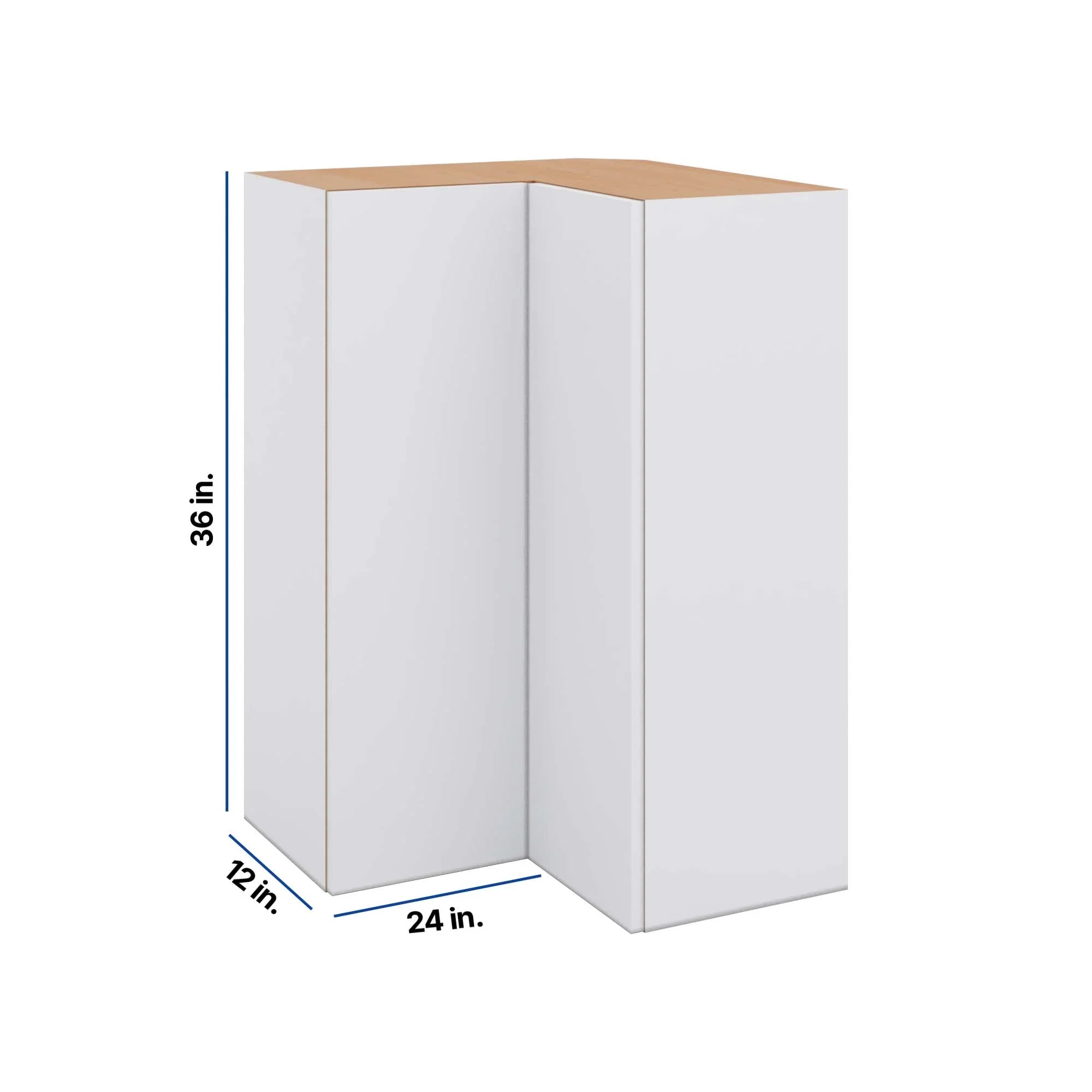 Modernform Cabinet Matte White 24" W X 36" H X 12" D Wall Easy Reach Cabinet