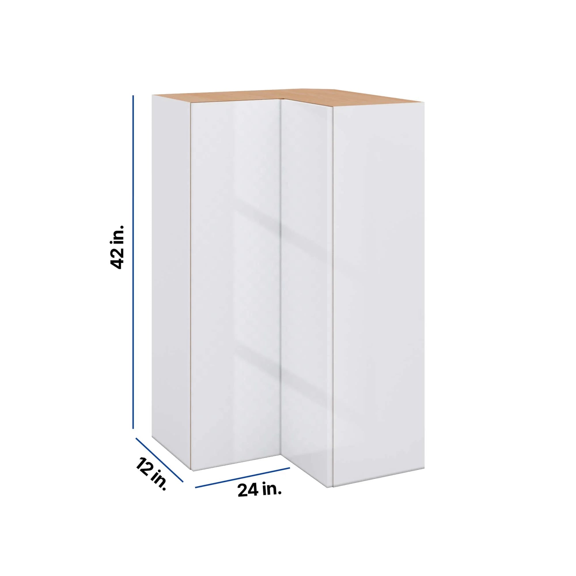 Modernform Cabinet Gloss White 24" W X 42" H X 12" D Wall Easy Reach Cabinet