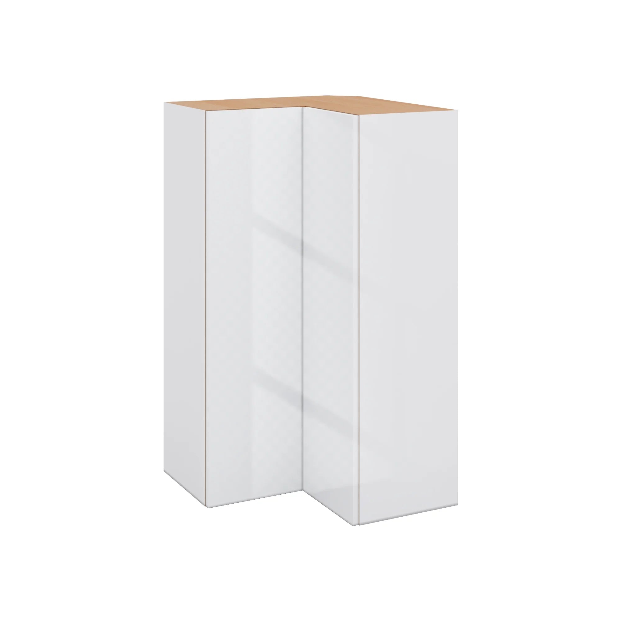 Modernform Cabinet Gloss White 24" W X 42" H X 12" D Wall Easy Reach Cabinet