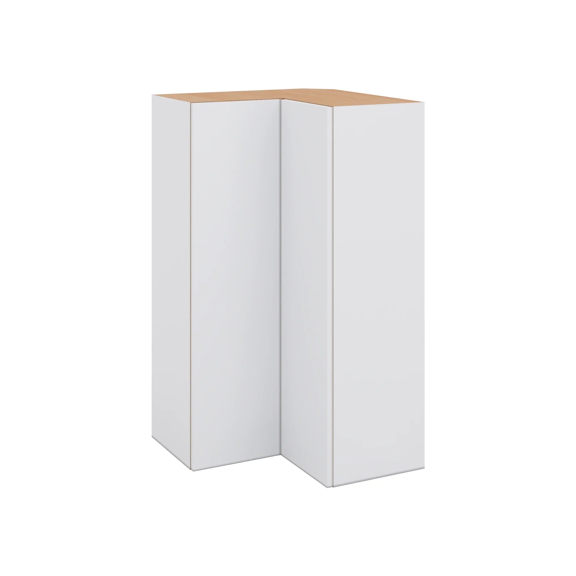 Modernform Cabinet Matte White 24" W X 42" H X 12" D Wall Easy Reach Cabinet