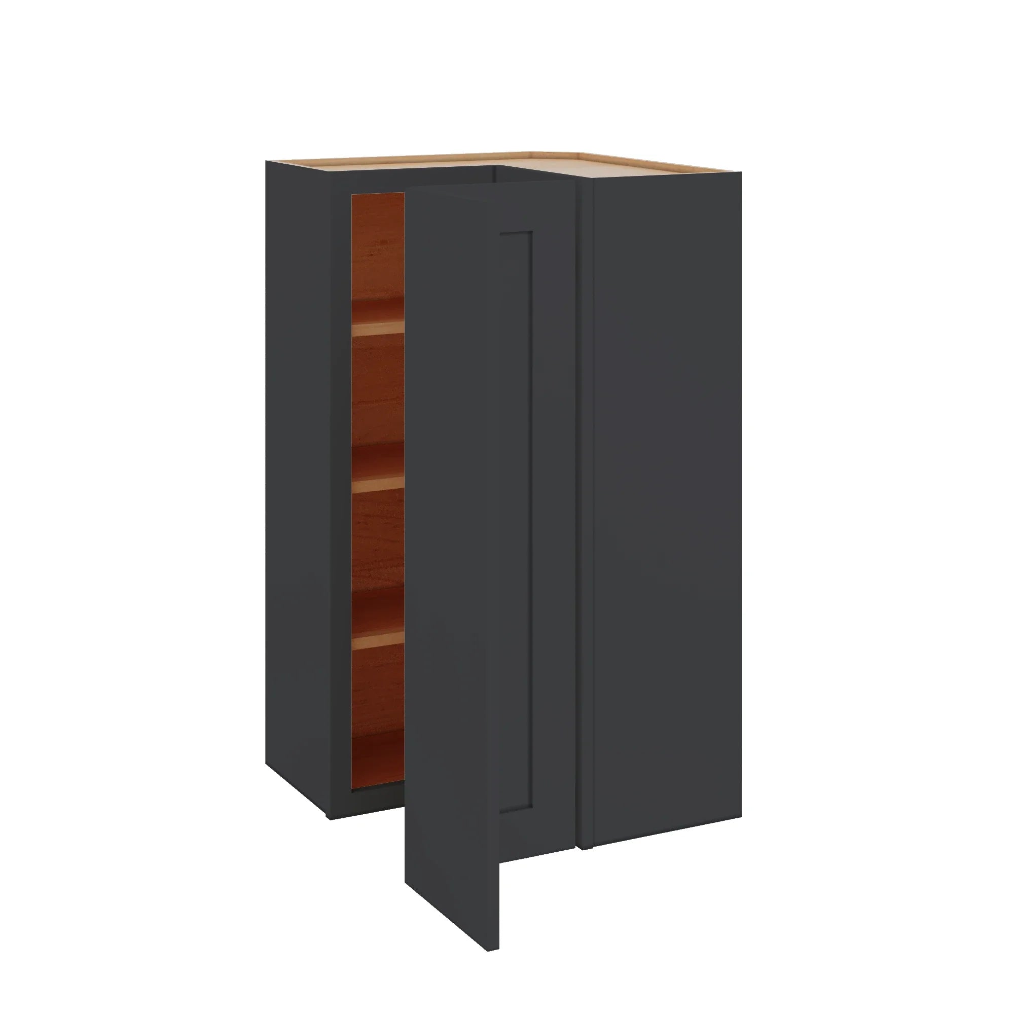 Modernform Cabinet Onyx Black Shaker 24" W X 42" H X 12" D Wall Easy Reach Cabinet