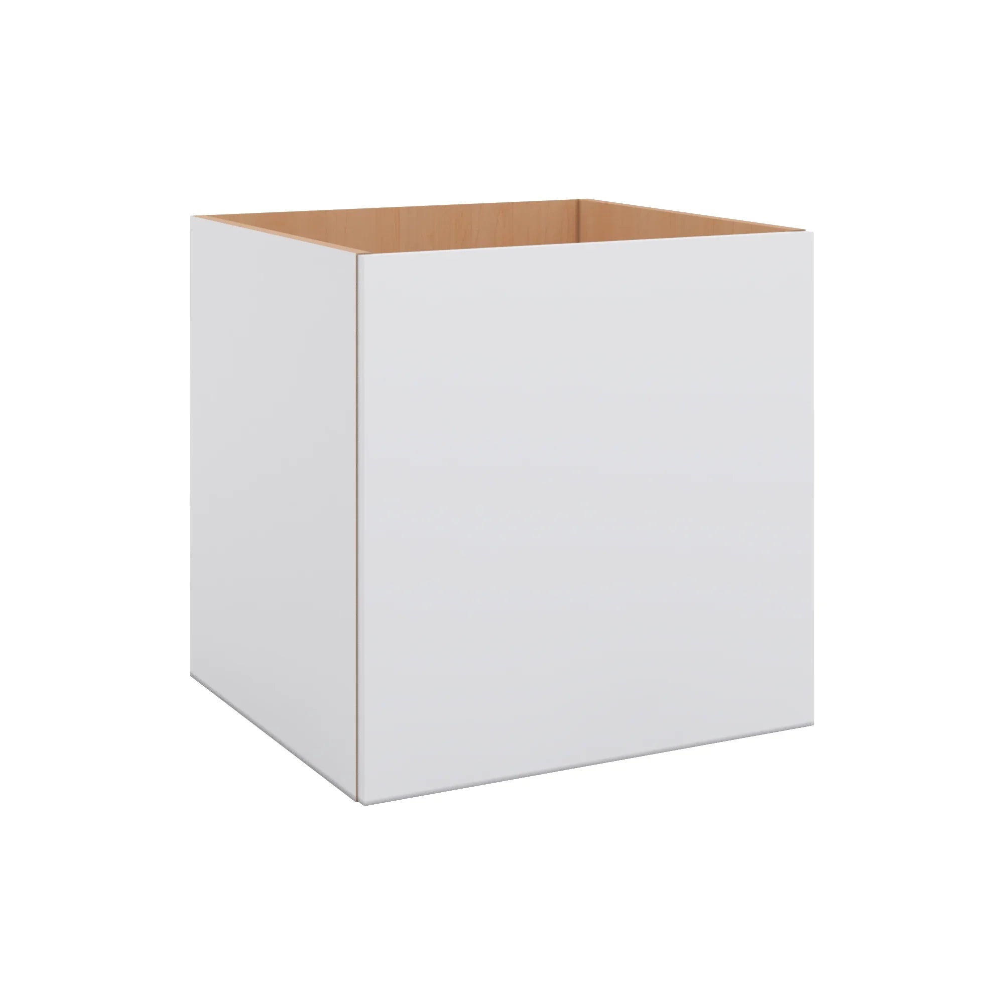 Modernform Cabinet Matte White 24" W X 24" H X 21" D Vanity Floating Full Height Single Door Cabinet