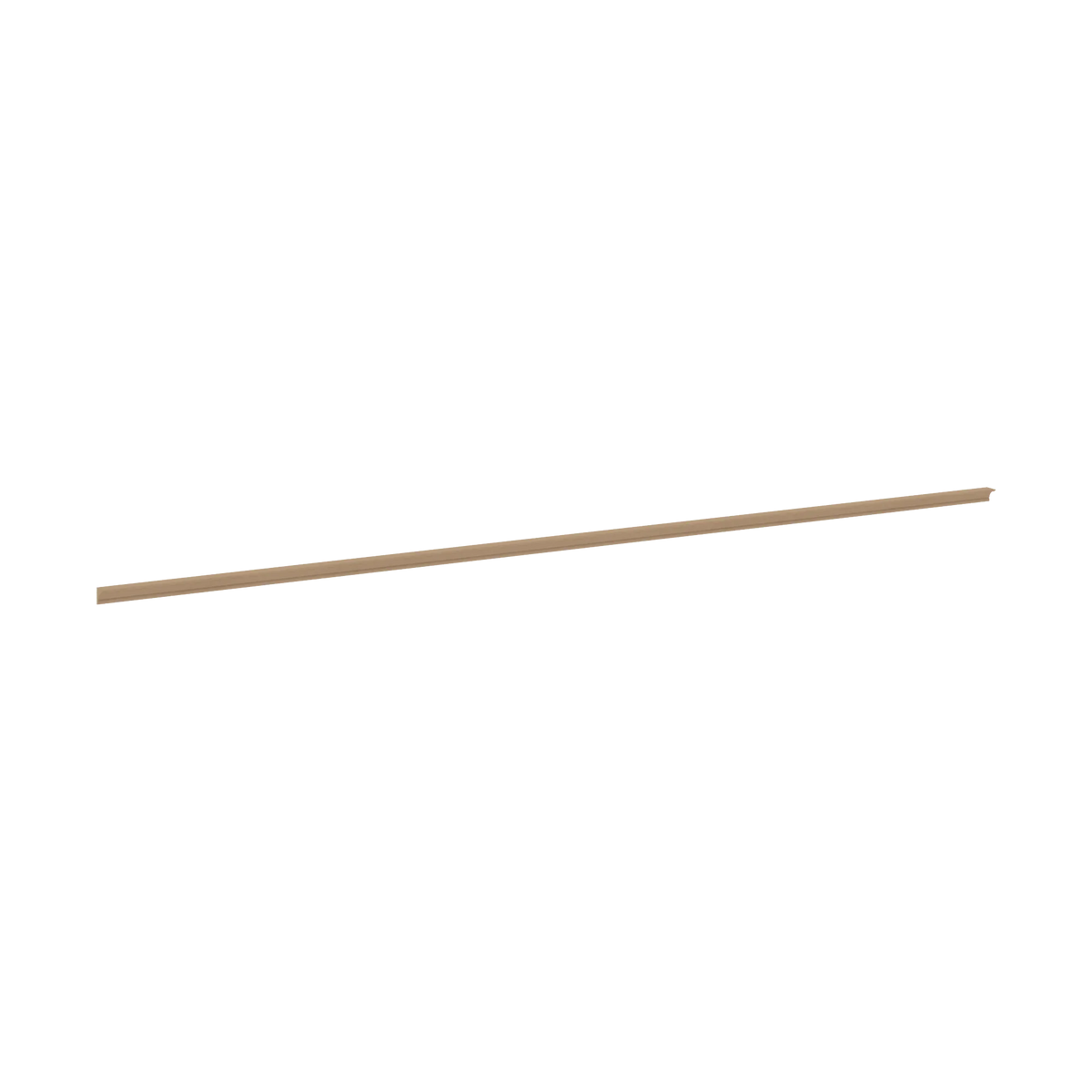 ICM Angle 1 0cebbc37 0993 48ba 8465 ed25856cfa1d
