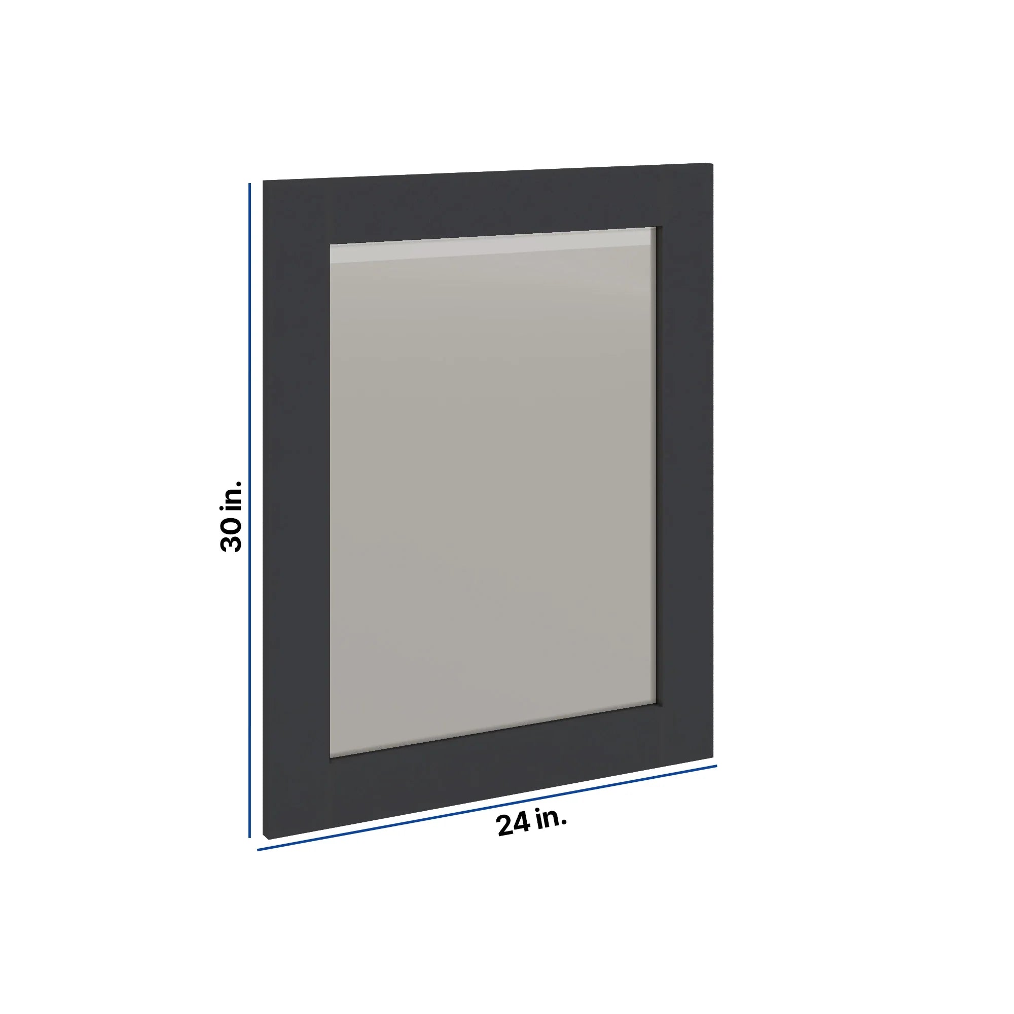 Modernform Cabinet Onyx Black Shaker 24" W X 30" H Vanity Mirror