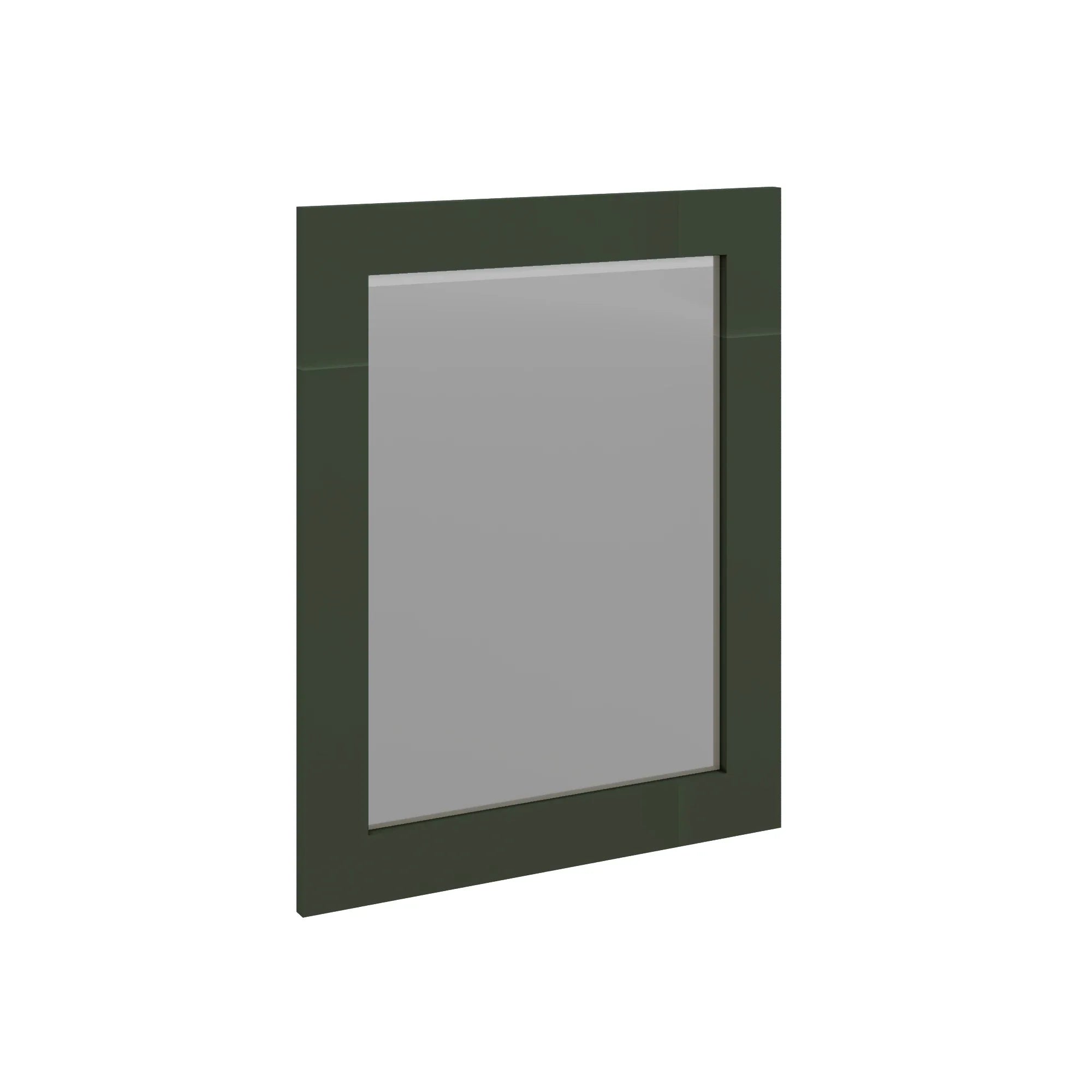 Modernform Cabinet Slim Sage Green 24" W X 30" H Vanity Mirror