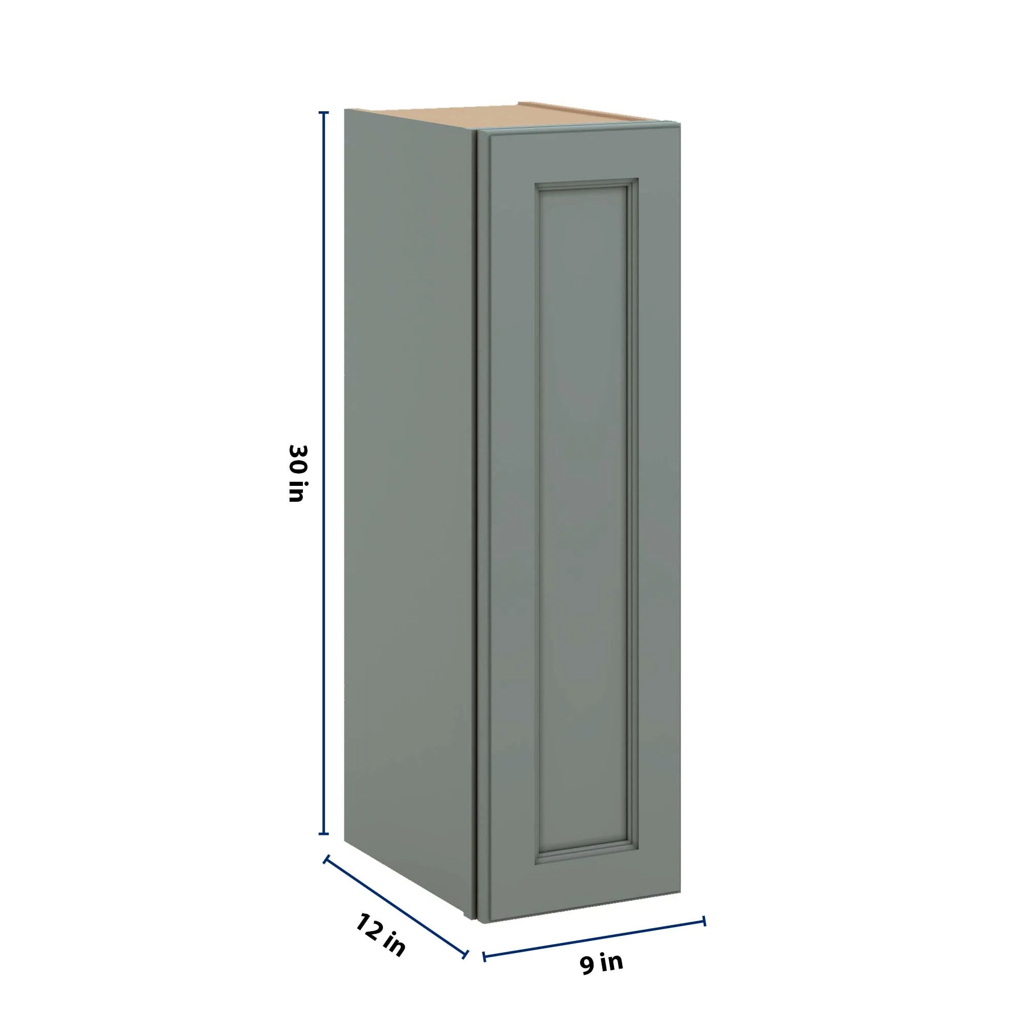 J&K Sage E3 Single Door Wall Cabinet - 09" W x 30" H