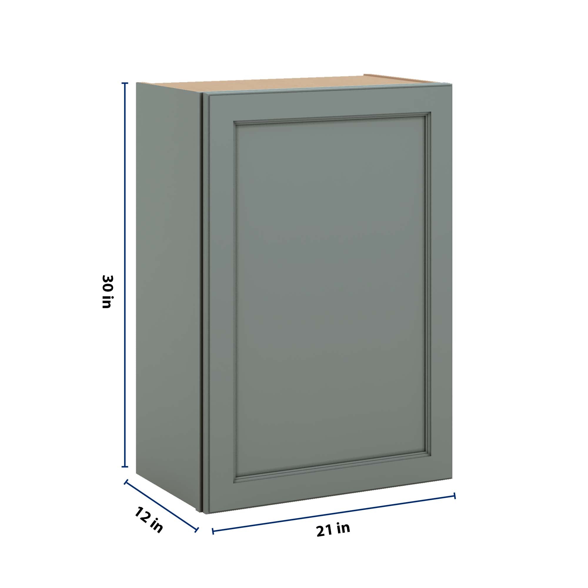 J&K Sage E3 Single Door Wall Cabinet - 21" W x 30" H