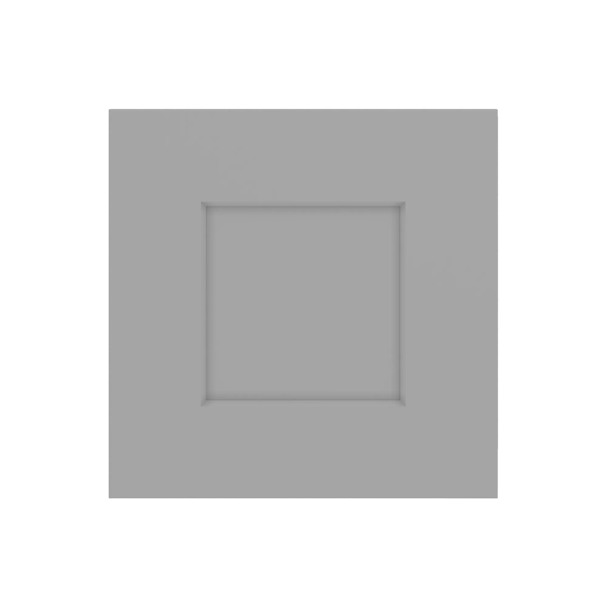 W2412F Front Gray