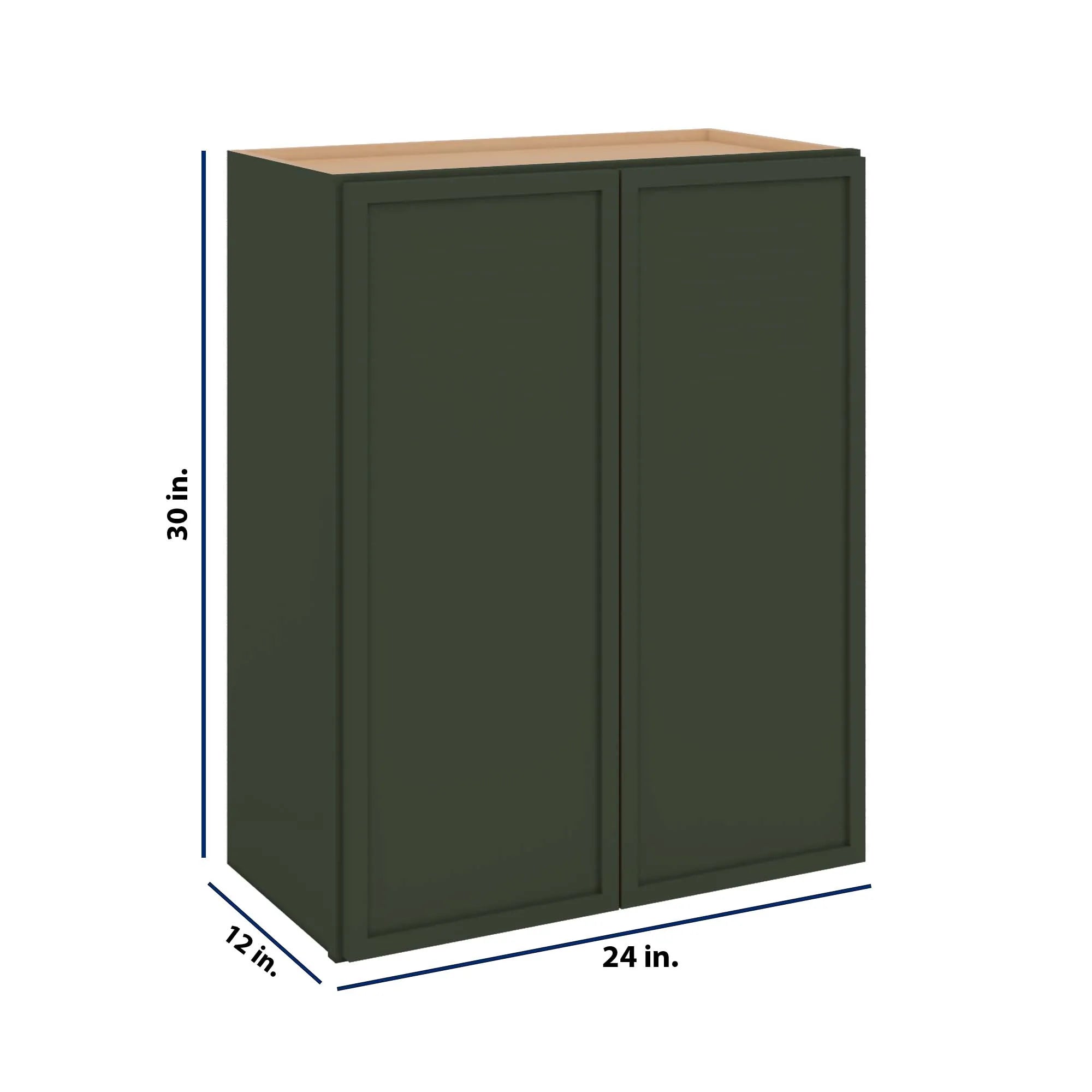 Modernform Cabinet Slim Sage Green 24" W X 30" H X 12" D Double Door Wall Cabinet