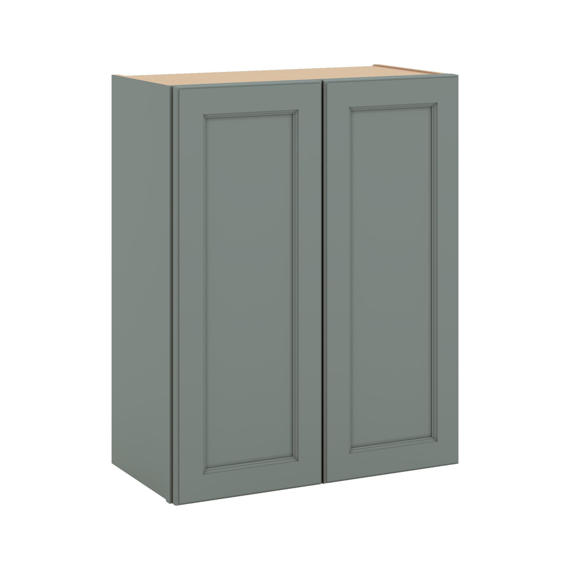 J&K Sage E3 Double Door Wall Cabinet - 24" W x 30" H