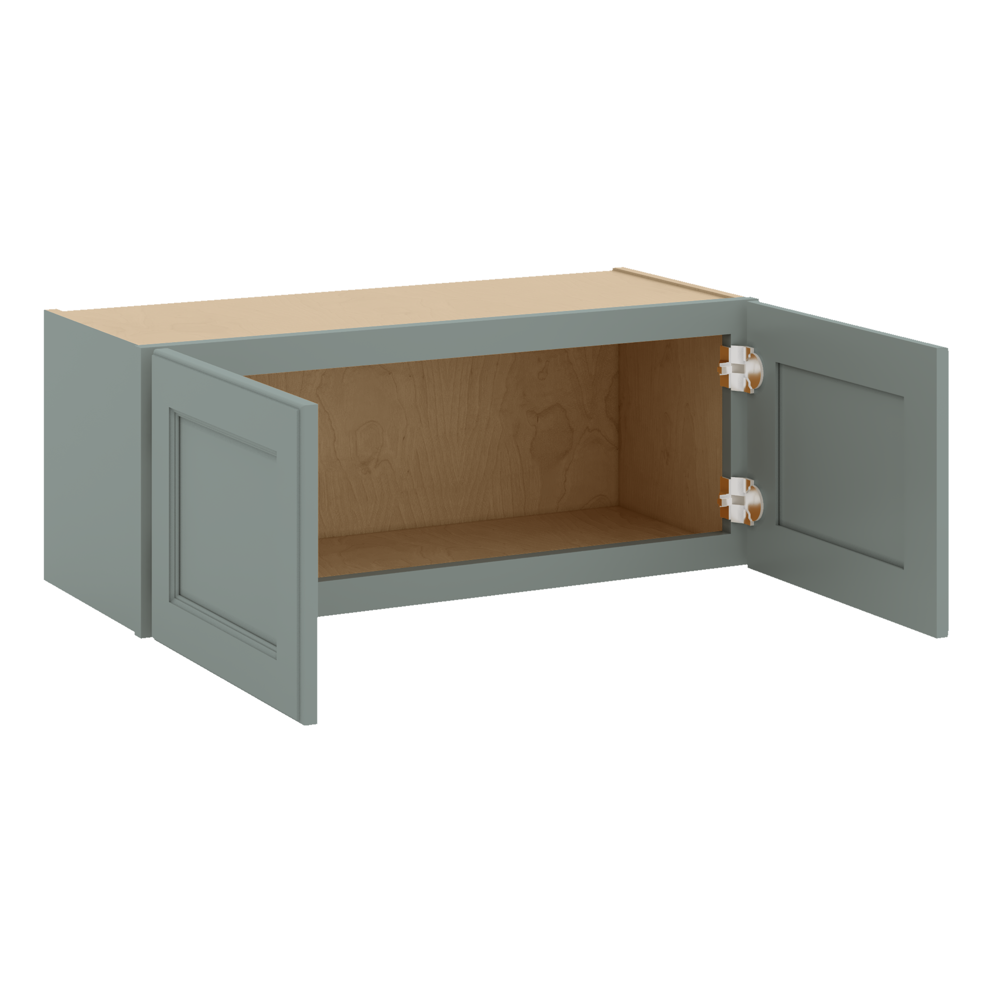 W3012 Open Angle Sage