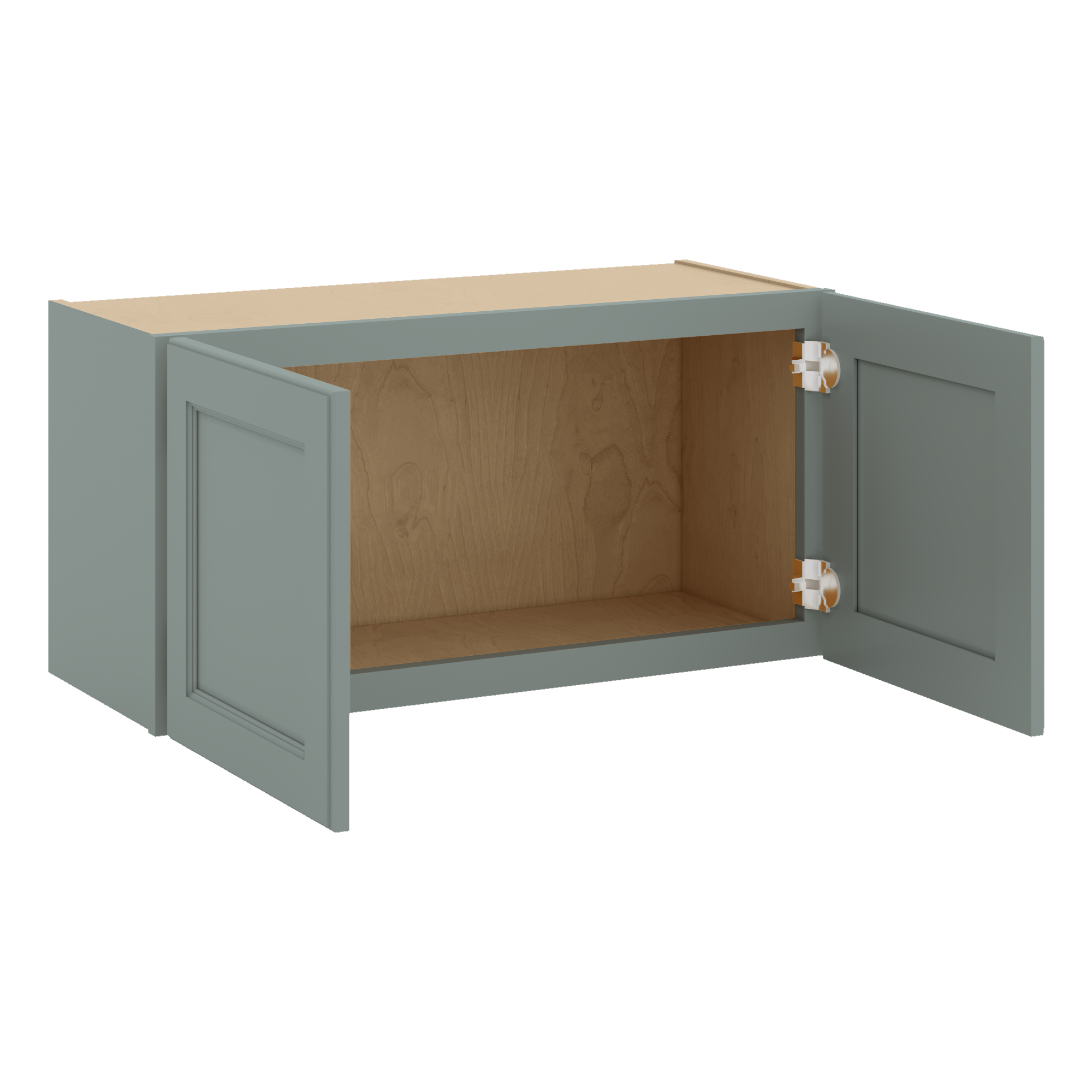 W3015 Open Angle Sage