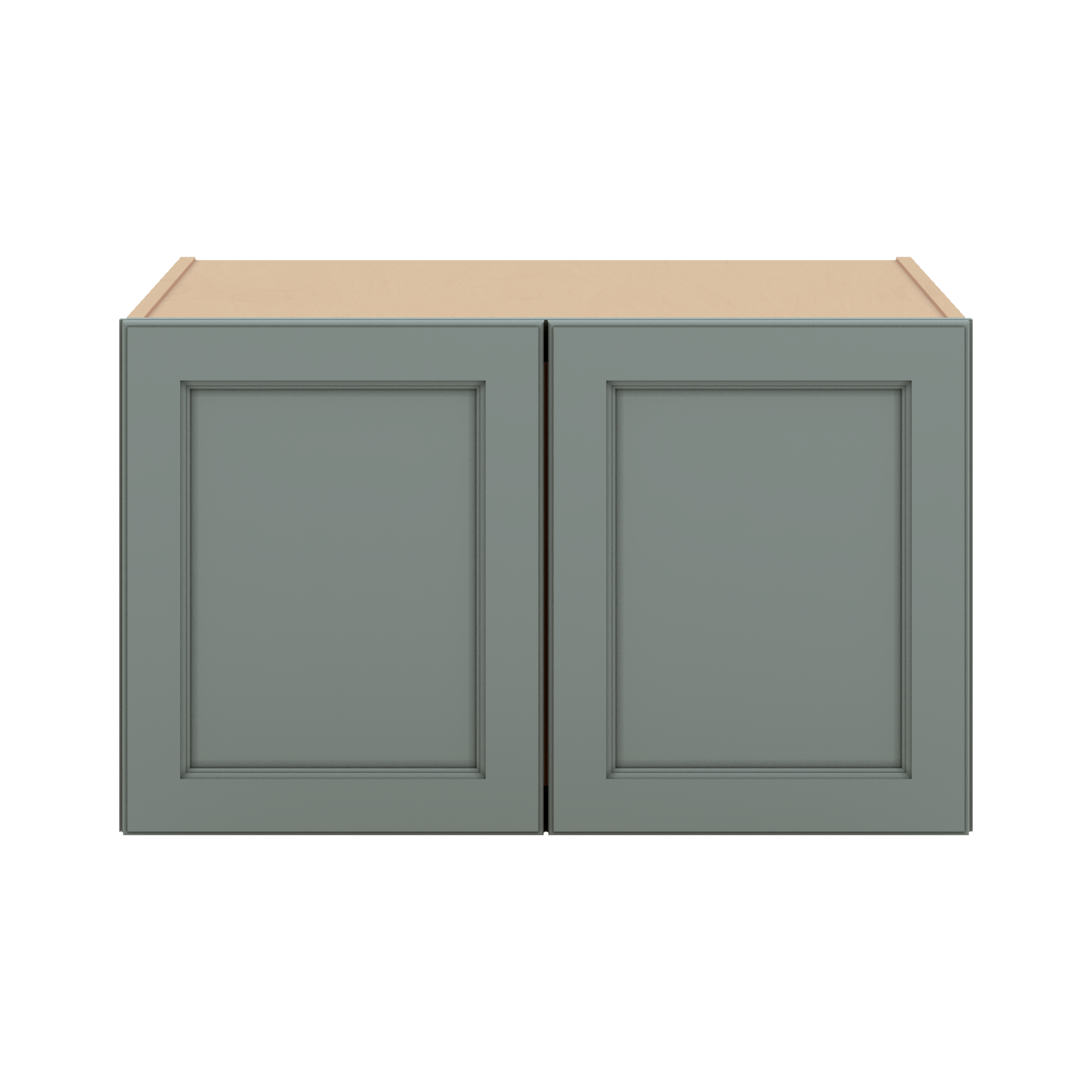 W301827 Close Front Sage