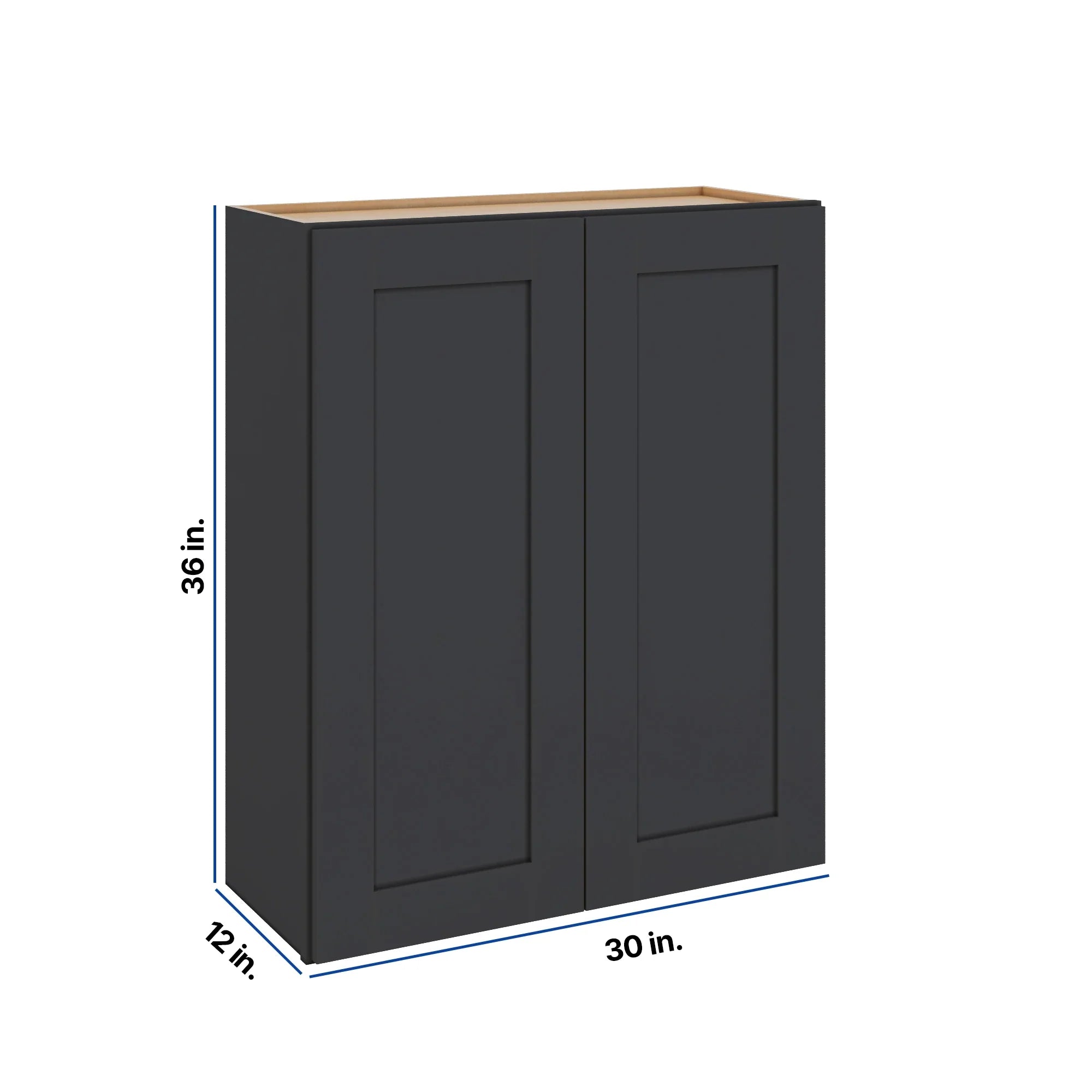 Modernform Cabinet Onyx Black Shaker 30" W X 36" H X 12" D Double Door Wall Cabinet