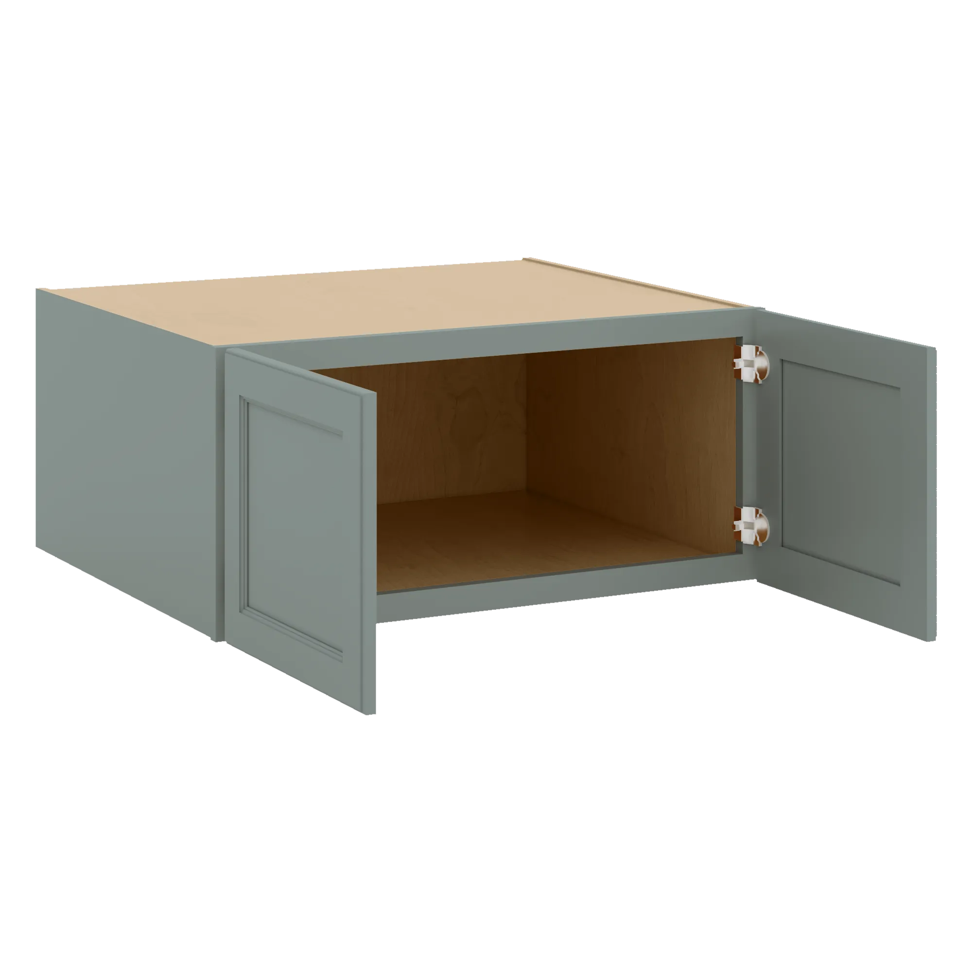 W331527 Open Angle Sage