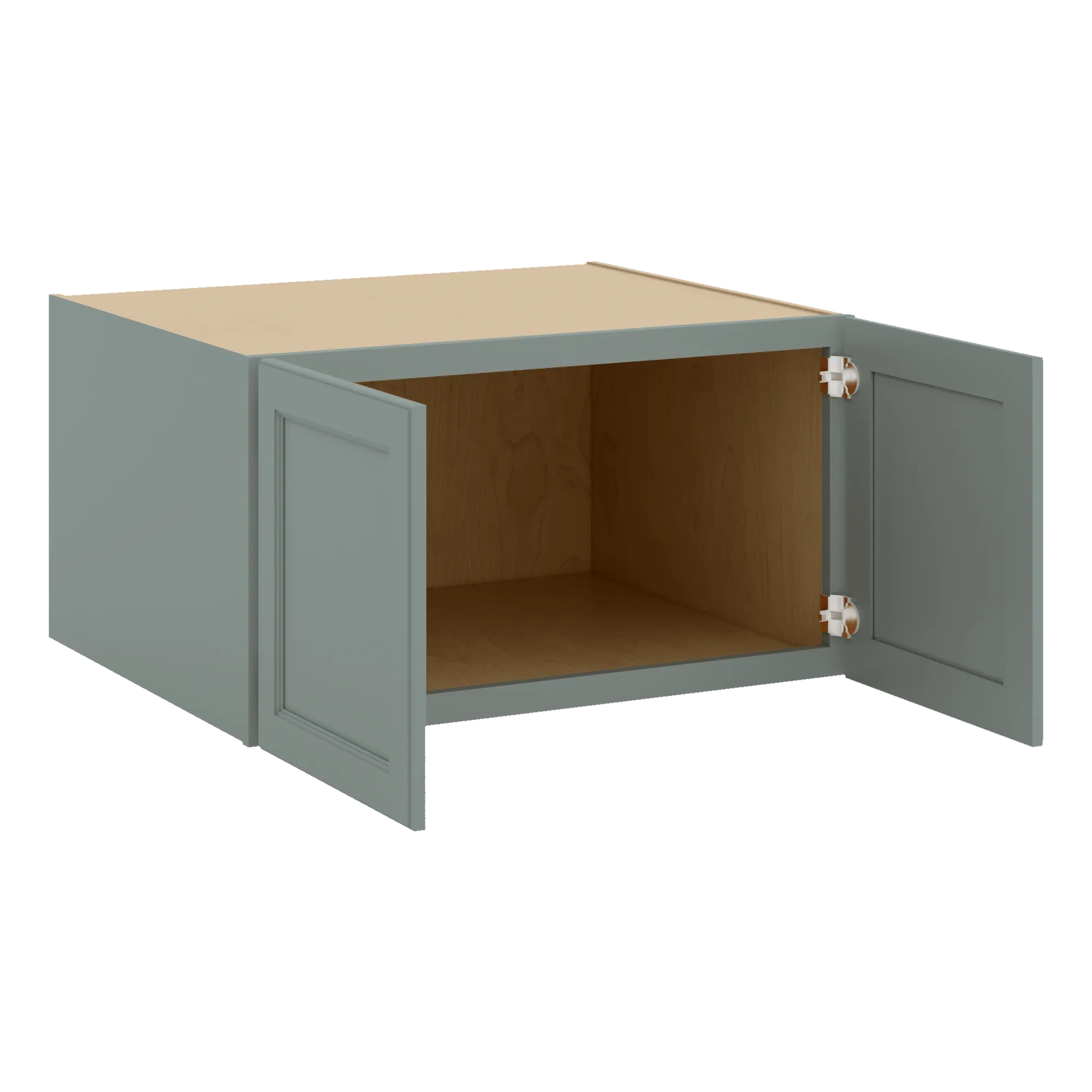 W331827 Open Angle Sage