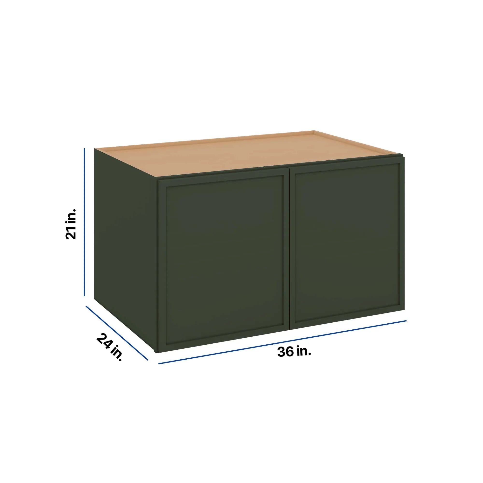 Modernform Cabinet Slim Sage Green 36" W X 21" H X 24" D Double Door Wall Cabinet