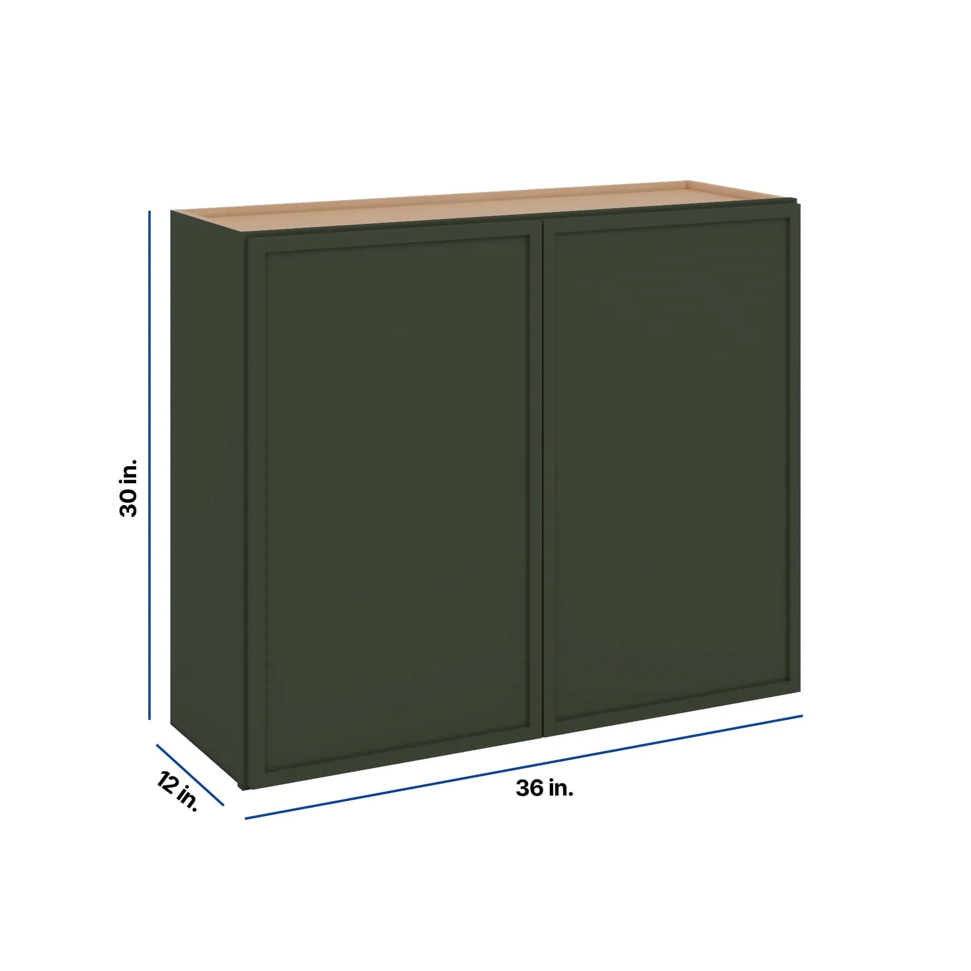 Modernform Cabinet Slim Sage Green 36" W X 30" H X 12" D Double Door Wall Cabinet