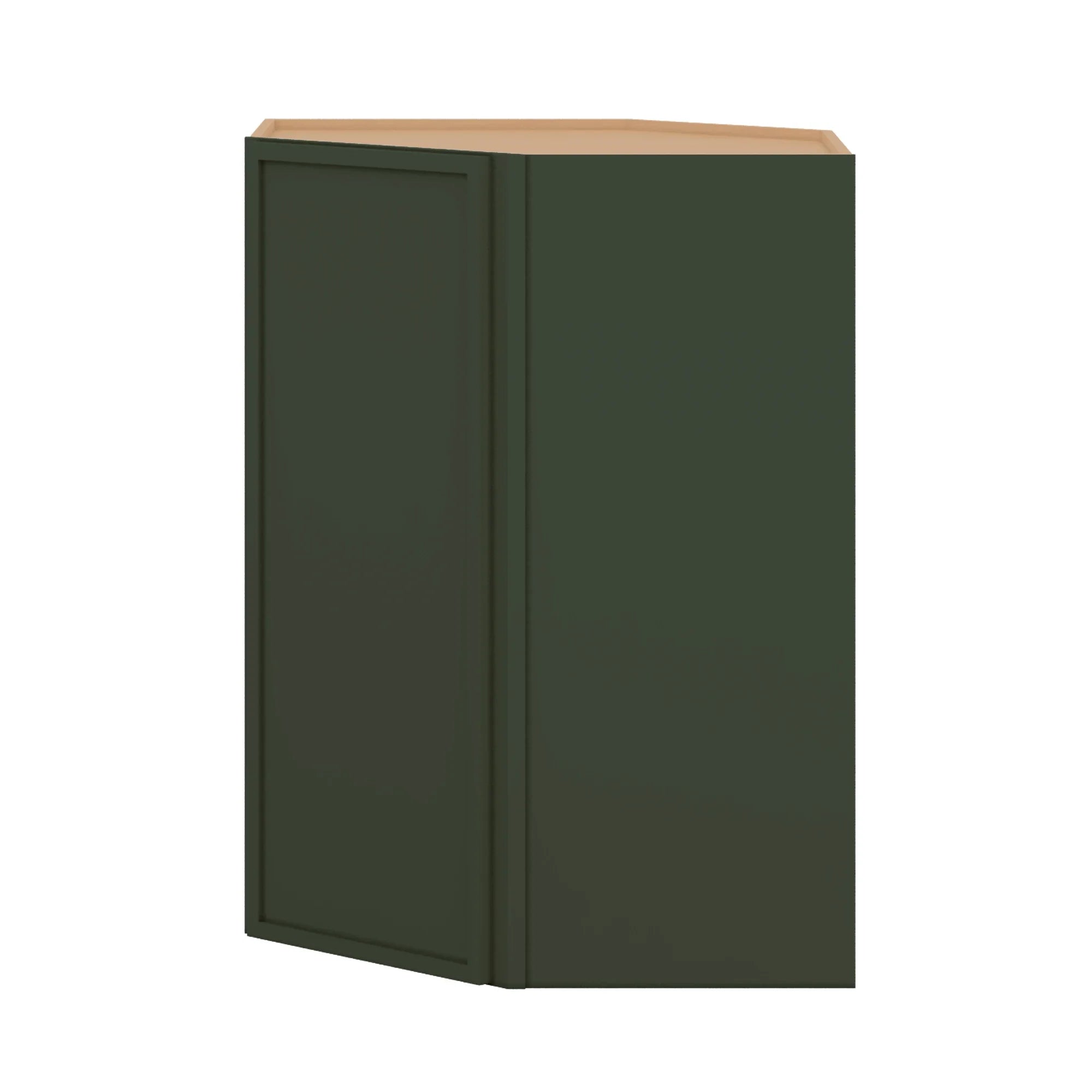 WDC273615 Close Front sage green png