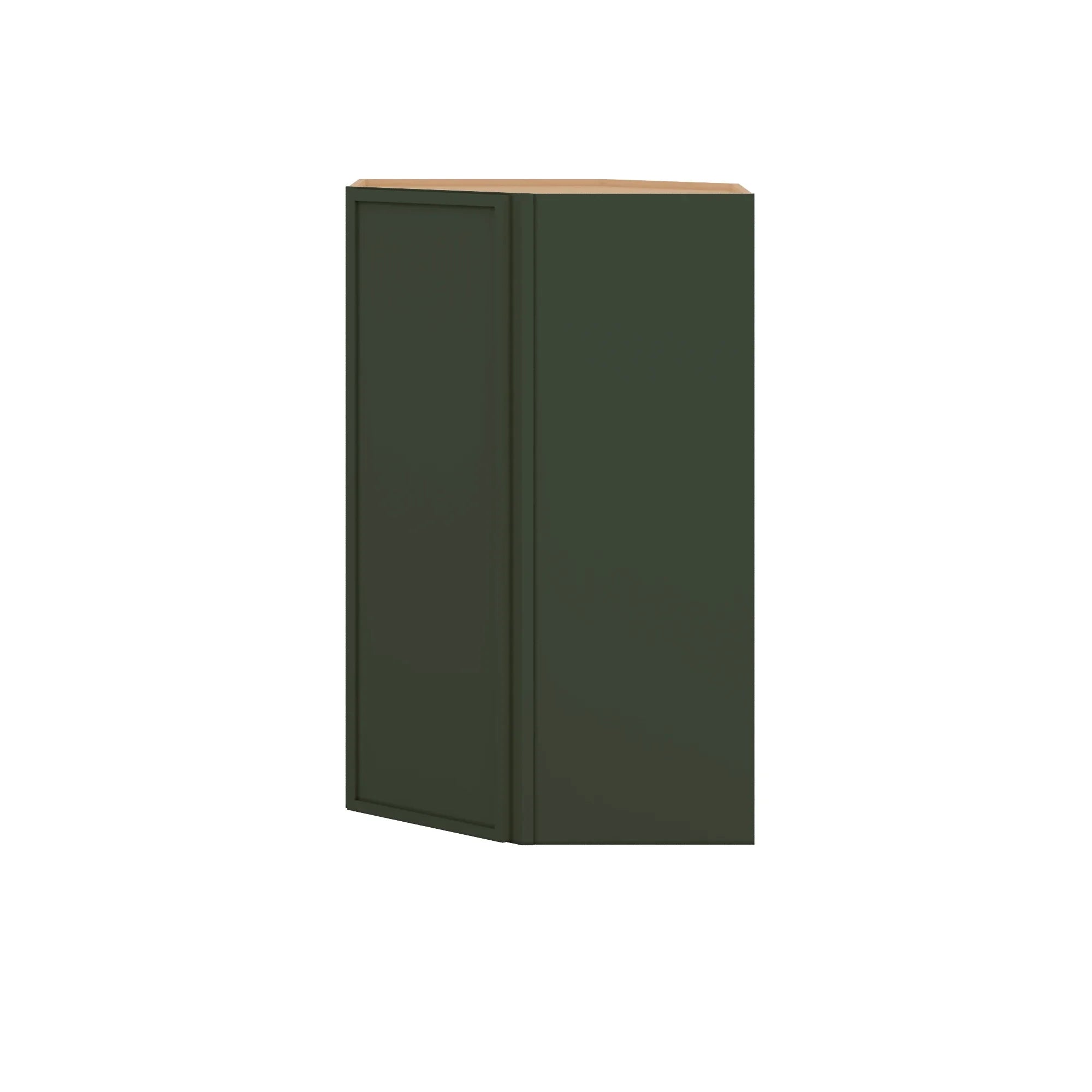 WDC274215 Close Front sage green png