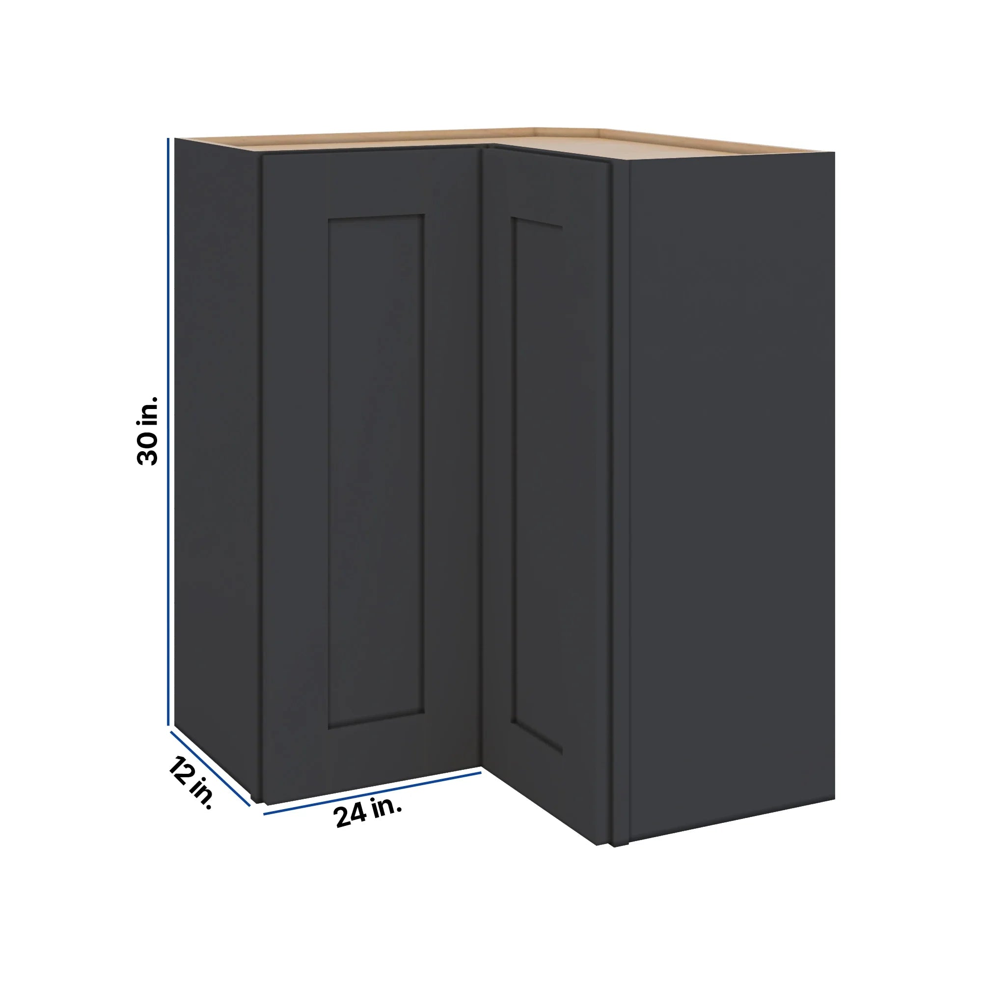 Modernform Cabinet Onyx Black Shaker 24" W X 30" H X 12" D Wall Easy Reach Cabinet