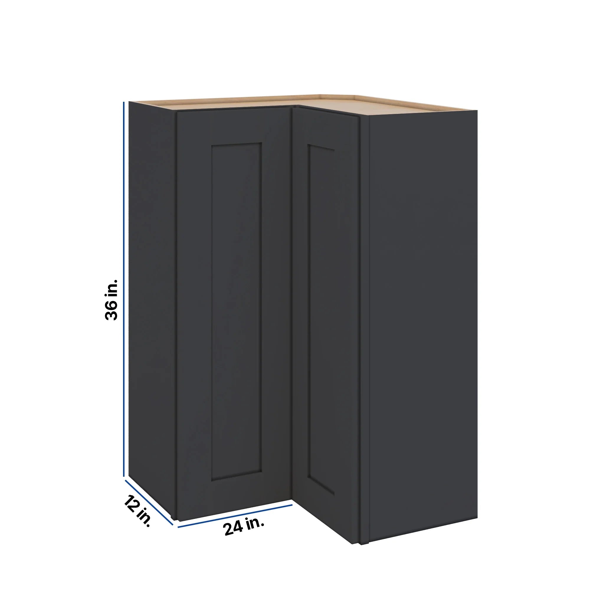 Modernform Cabinet Onyx Black Shaker 24" W X 36" H X 12" D Wall Easy Reach Cabinet